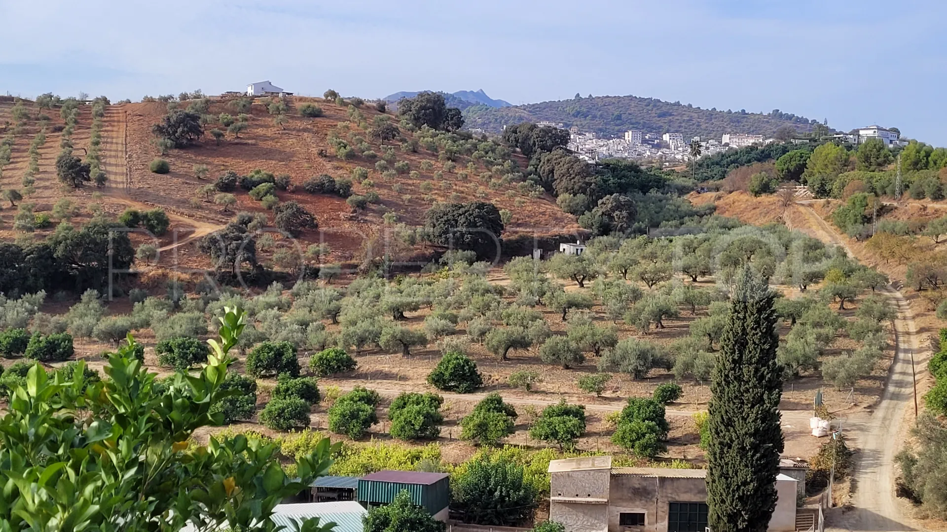 For sale plot in Guaro