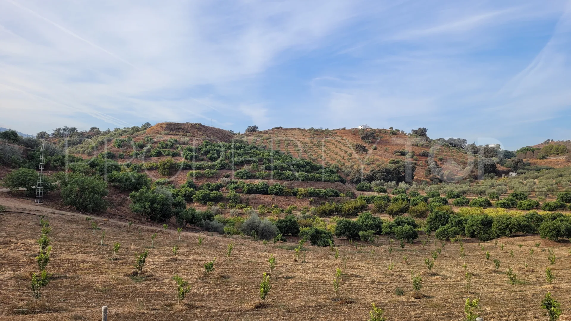 For sale plot in Guaro