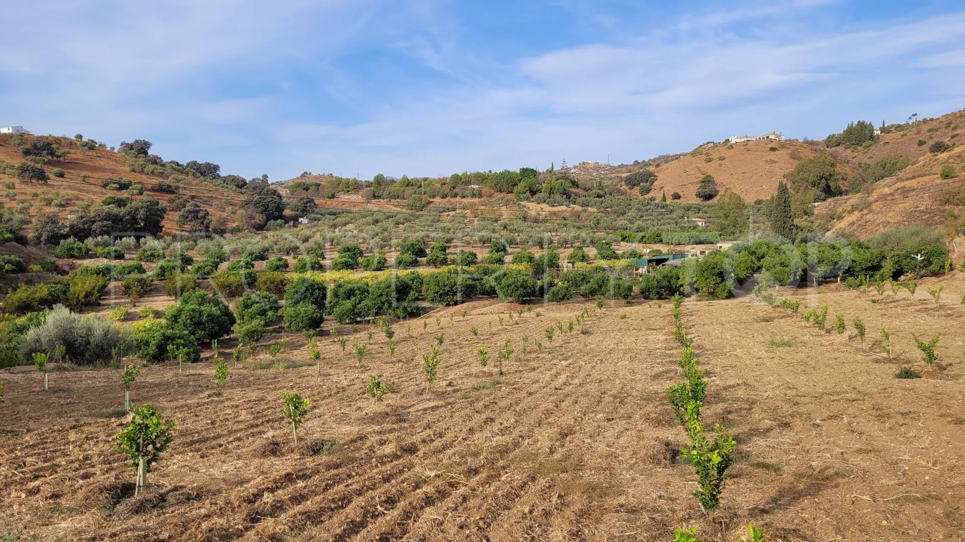 For sale plot in Guaro