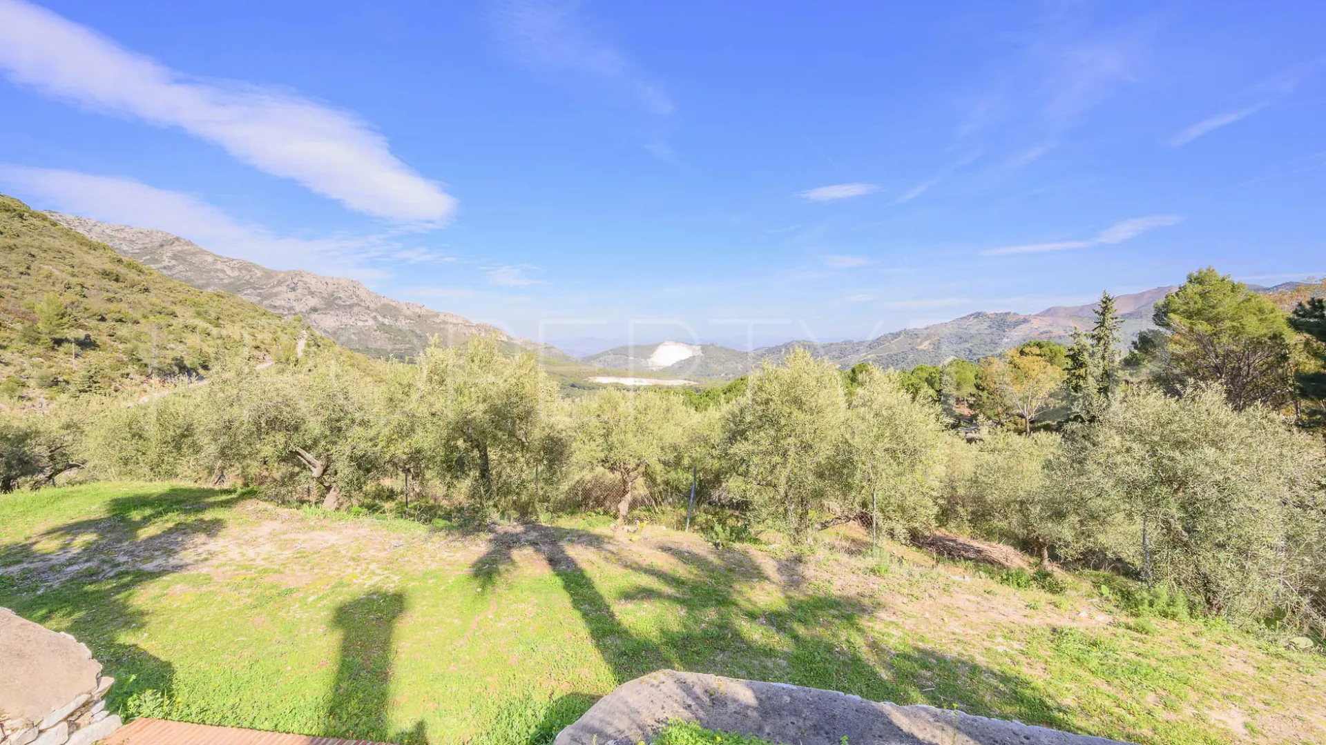 Buy Ojen chalet