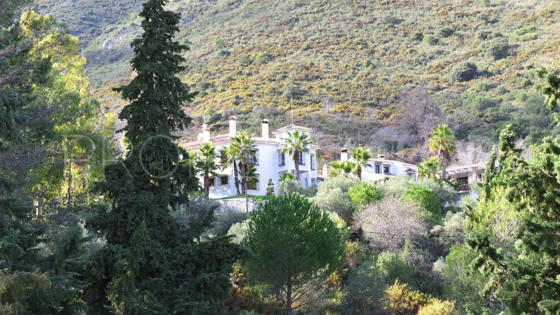 Buy Ojen chalet