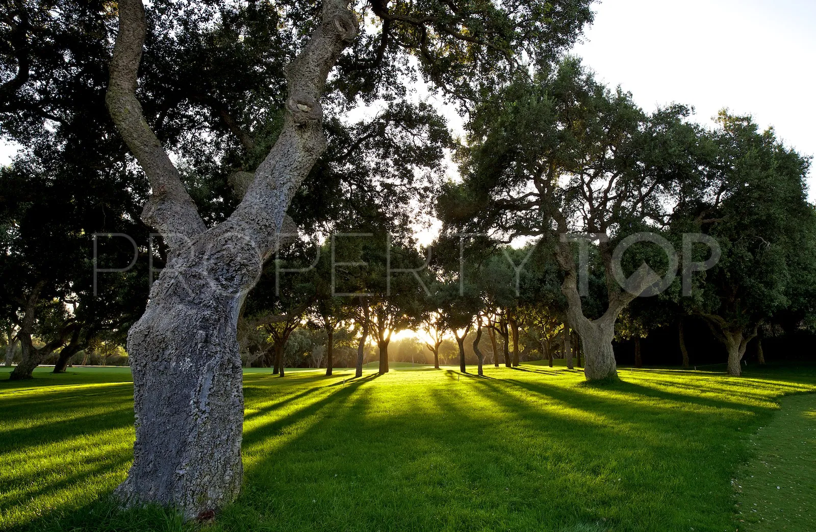 Zona E plot for sale