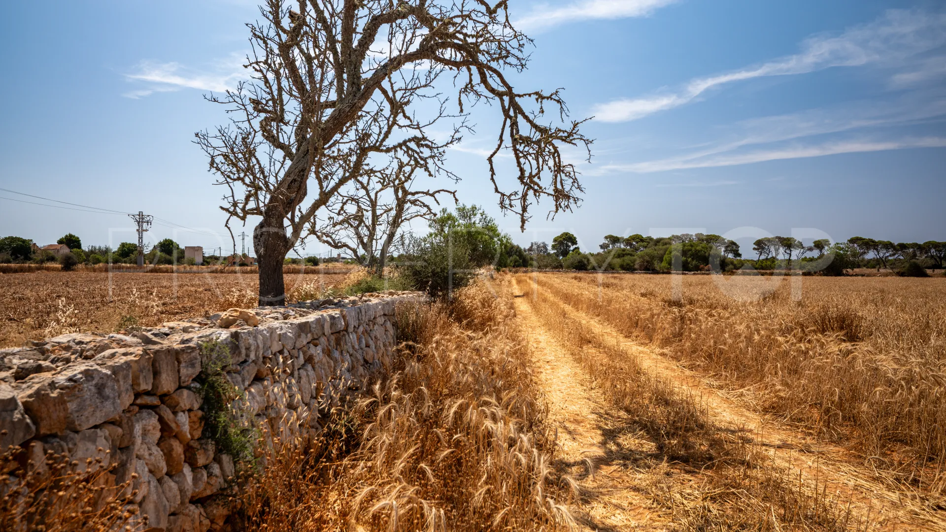 For sale plot in Santanyi