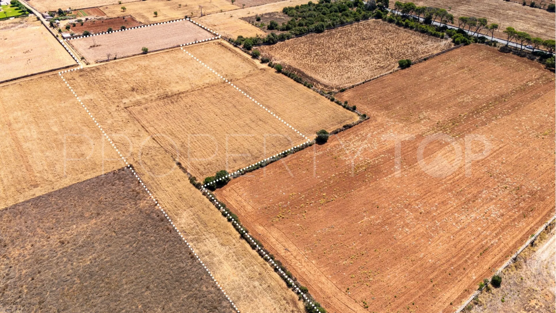For sale plot in Santanyi