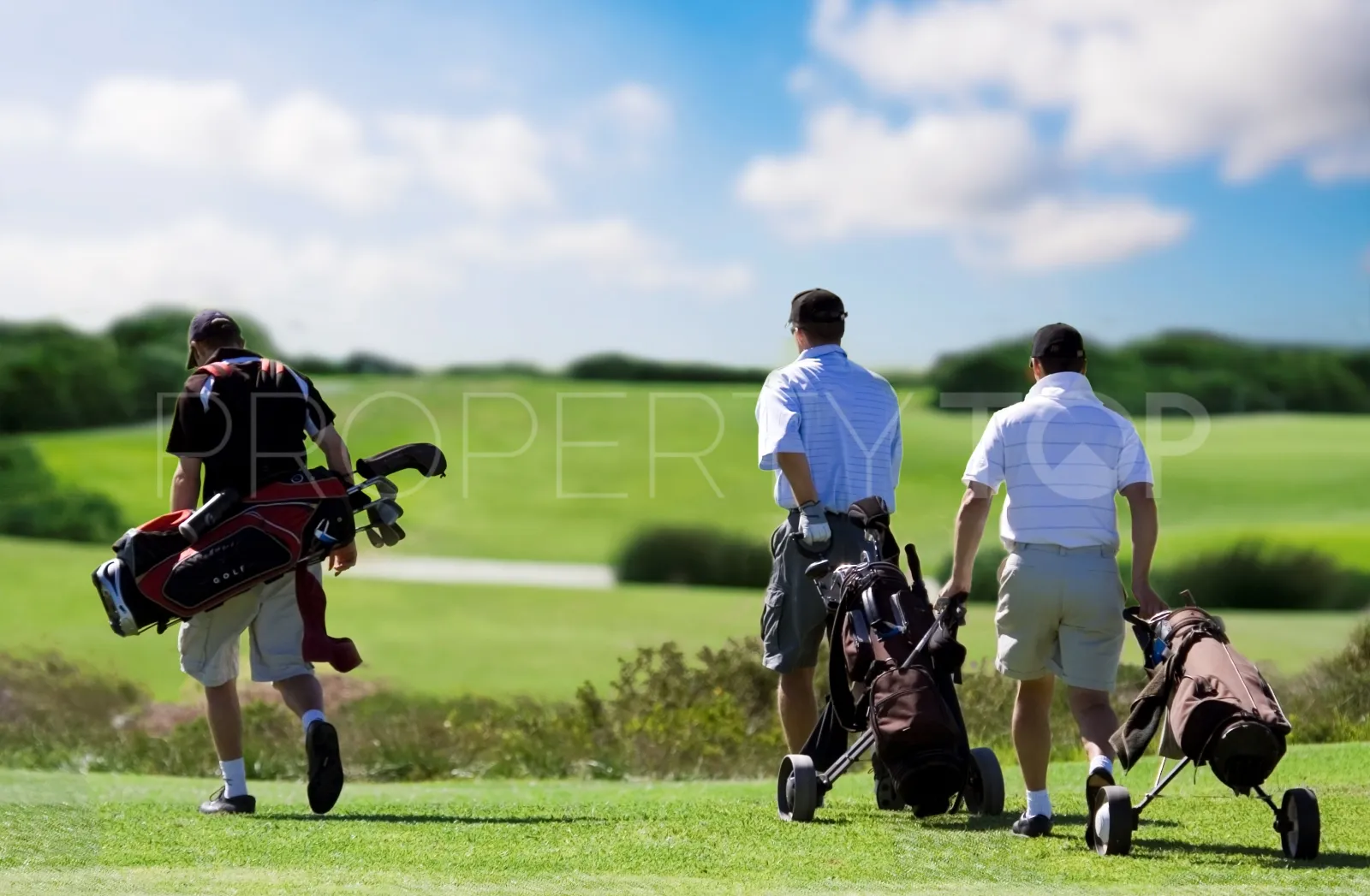 Plot for sale in Elviria