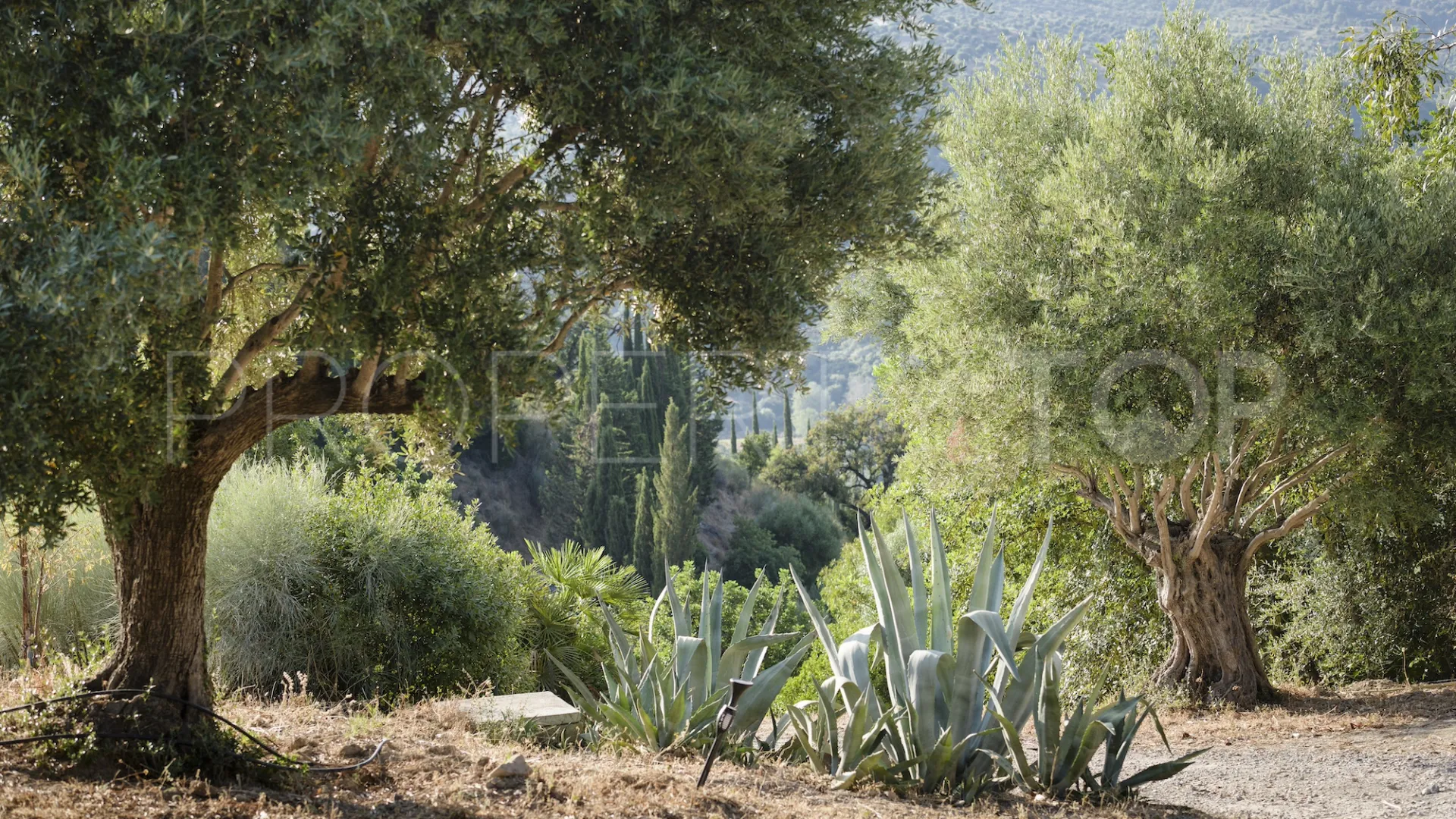 Casa de campo a la venta en Gaucin de 9 dormitorios