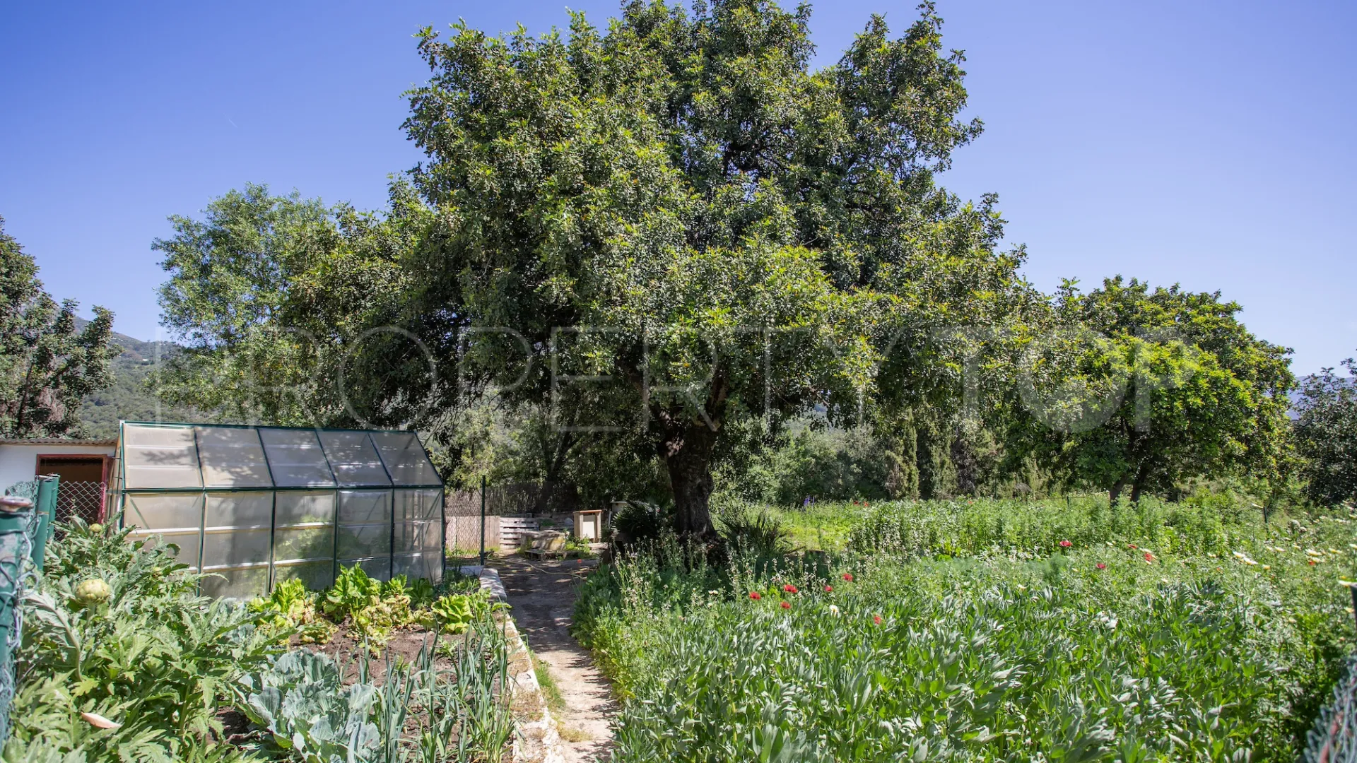 Casa de campo a la venta en Gaucin de 9 dormitorios
