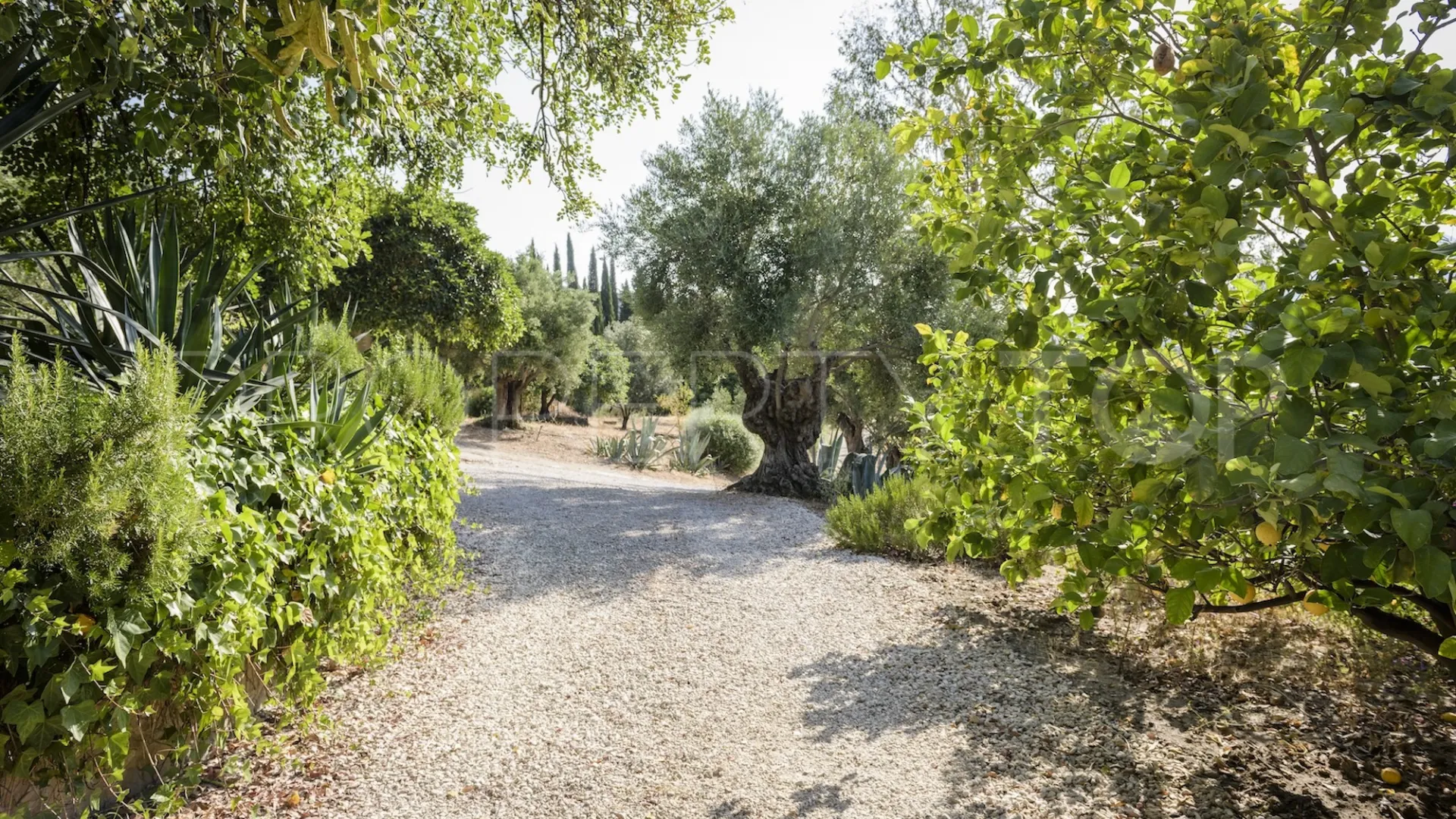 Casa de campo a la venta en Gaucin de 9 dormitorios