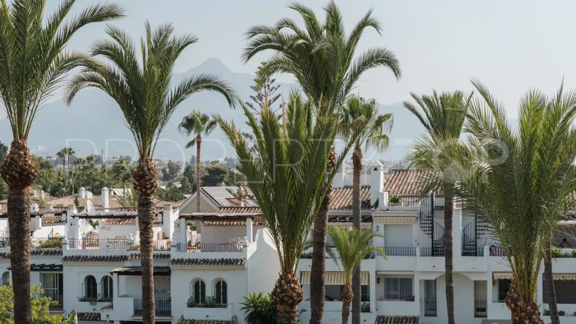 Buy apartment in Las Petunias with 3 bedrooms