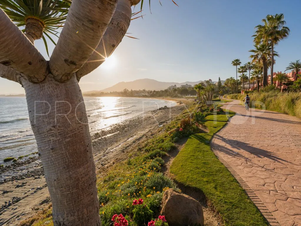 3 bedrooms Estepona penthouse for sale