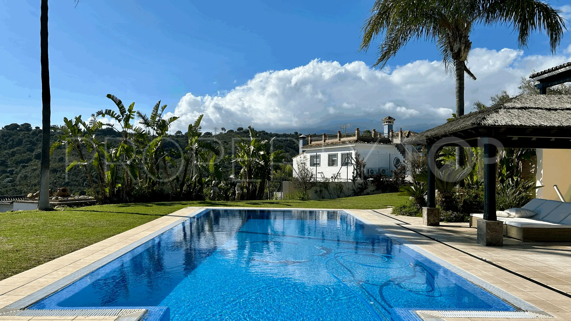 Estepona villa for sale