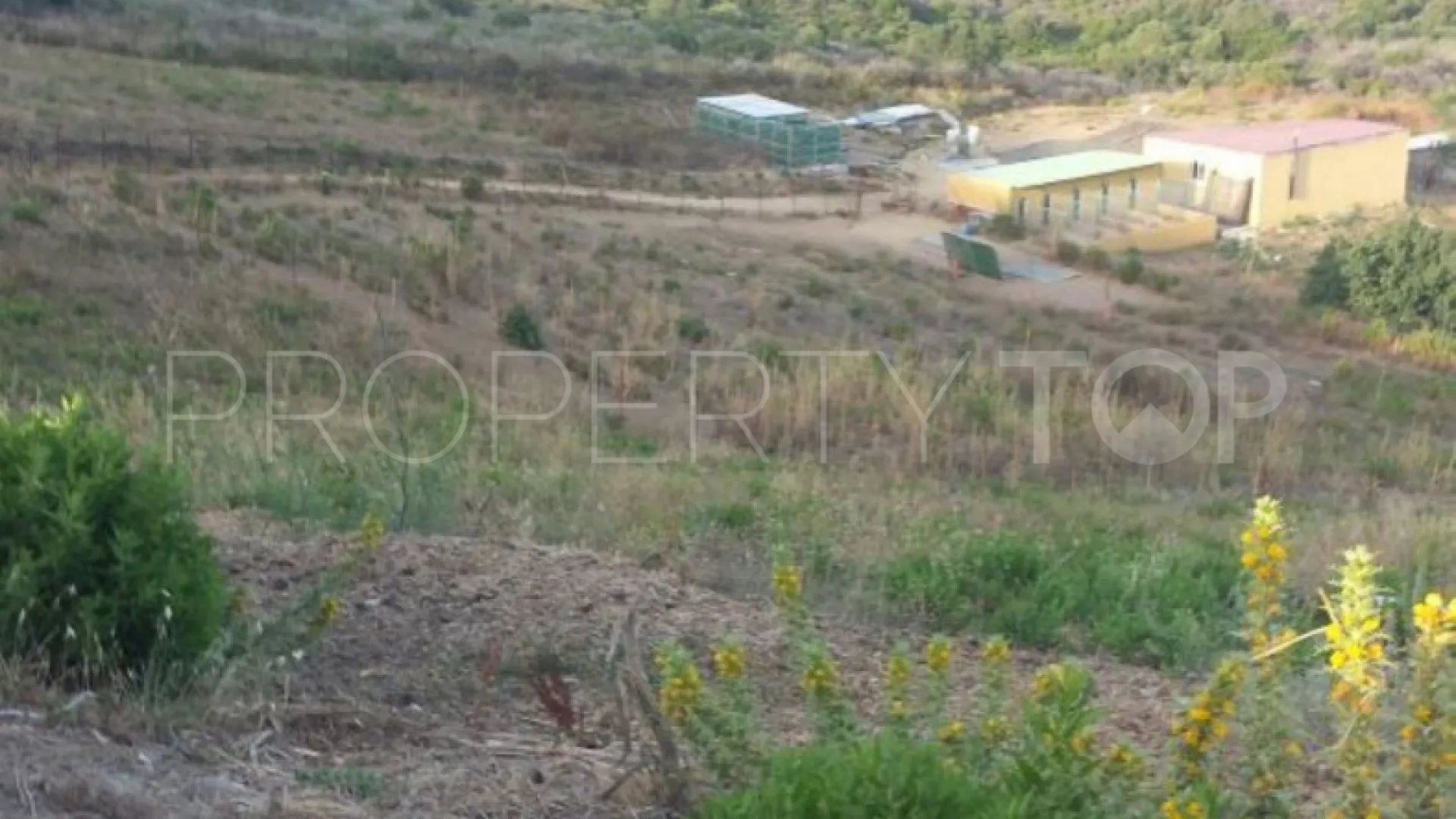 For sale finca in Sotogrande