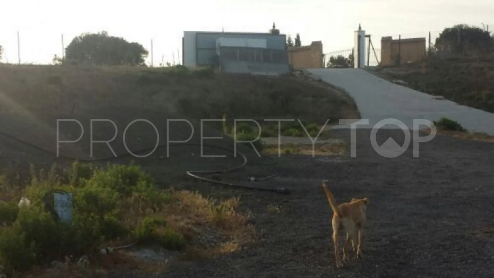 For sale finca in Sotogrande