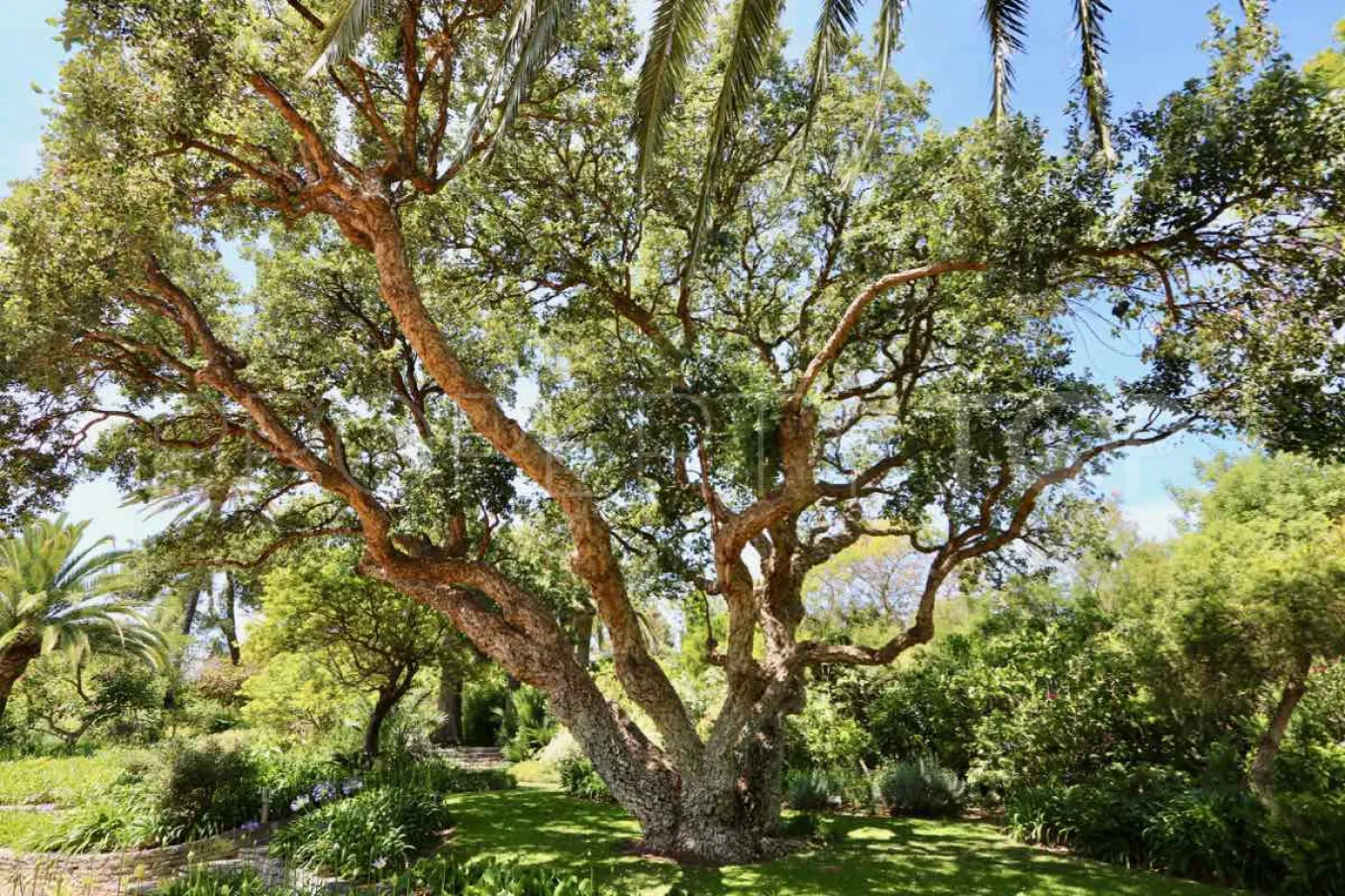 Sotogrande Costa, villa a la venta