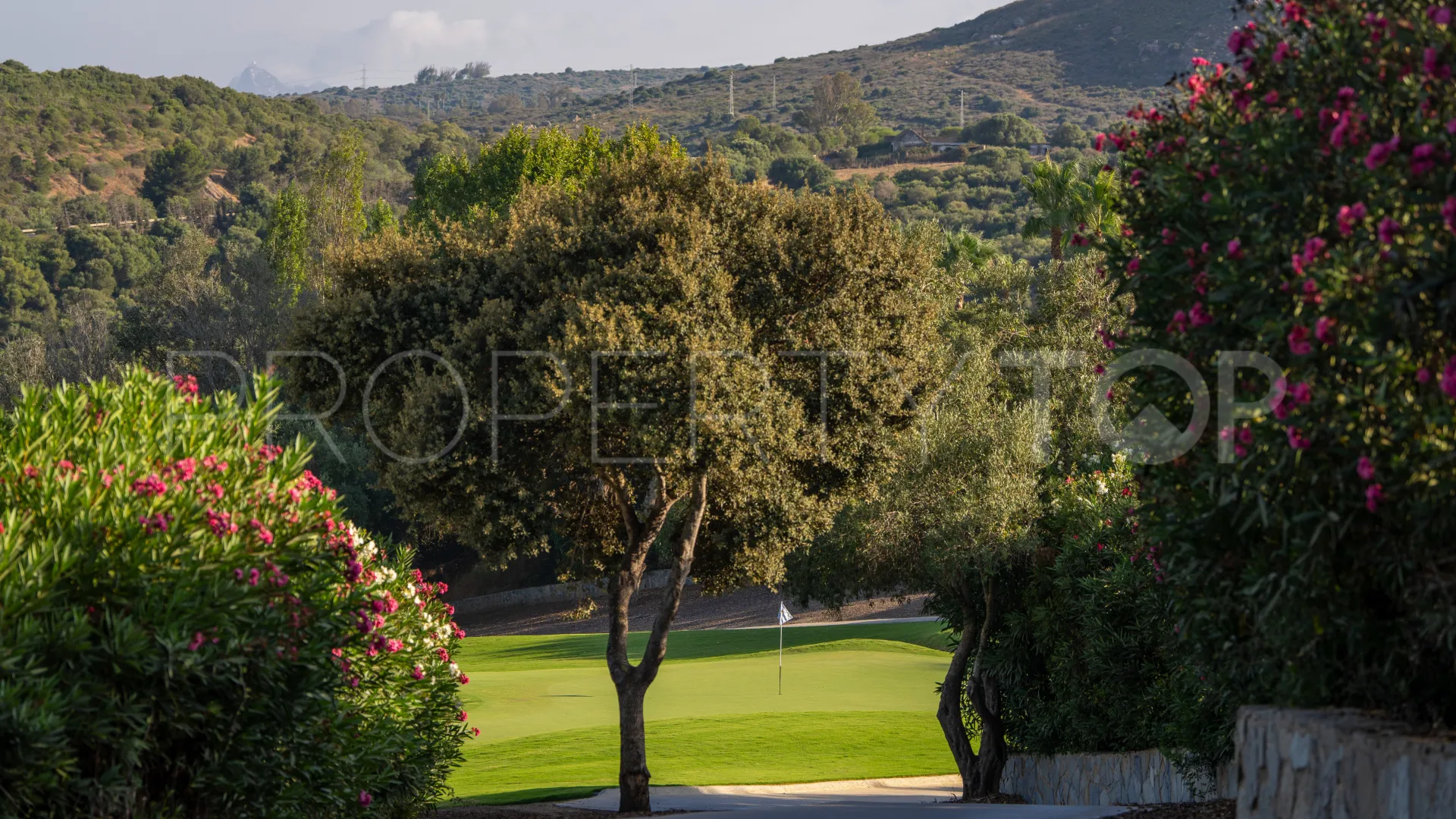 Plot for sale in San Roque Club