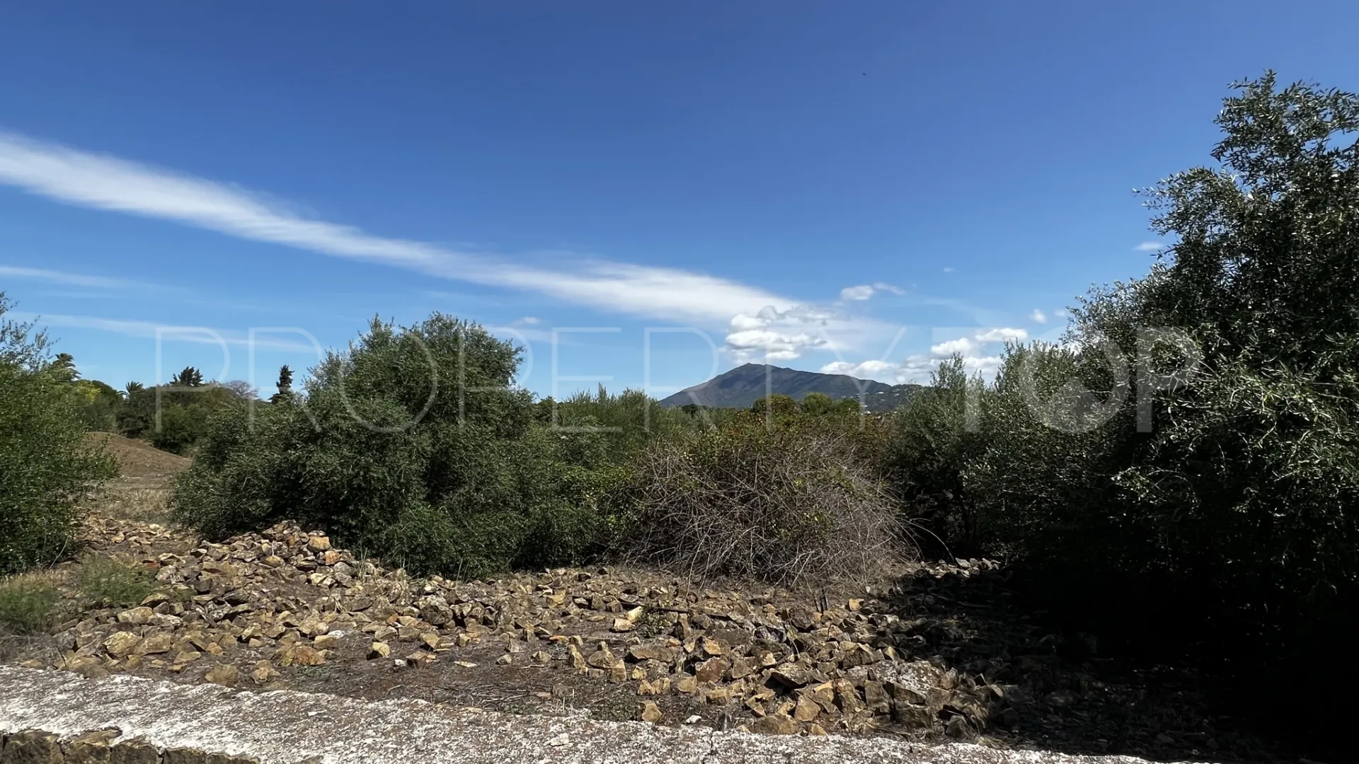 Parcela a la venta en Guadalmina Alta