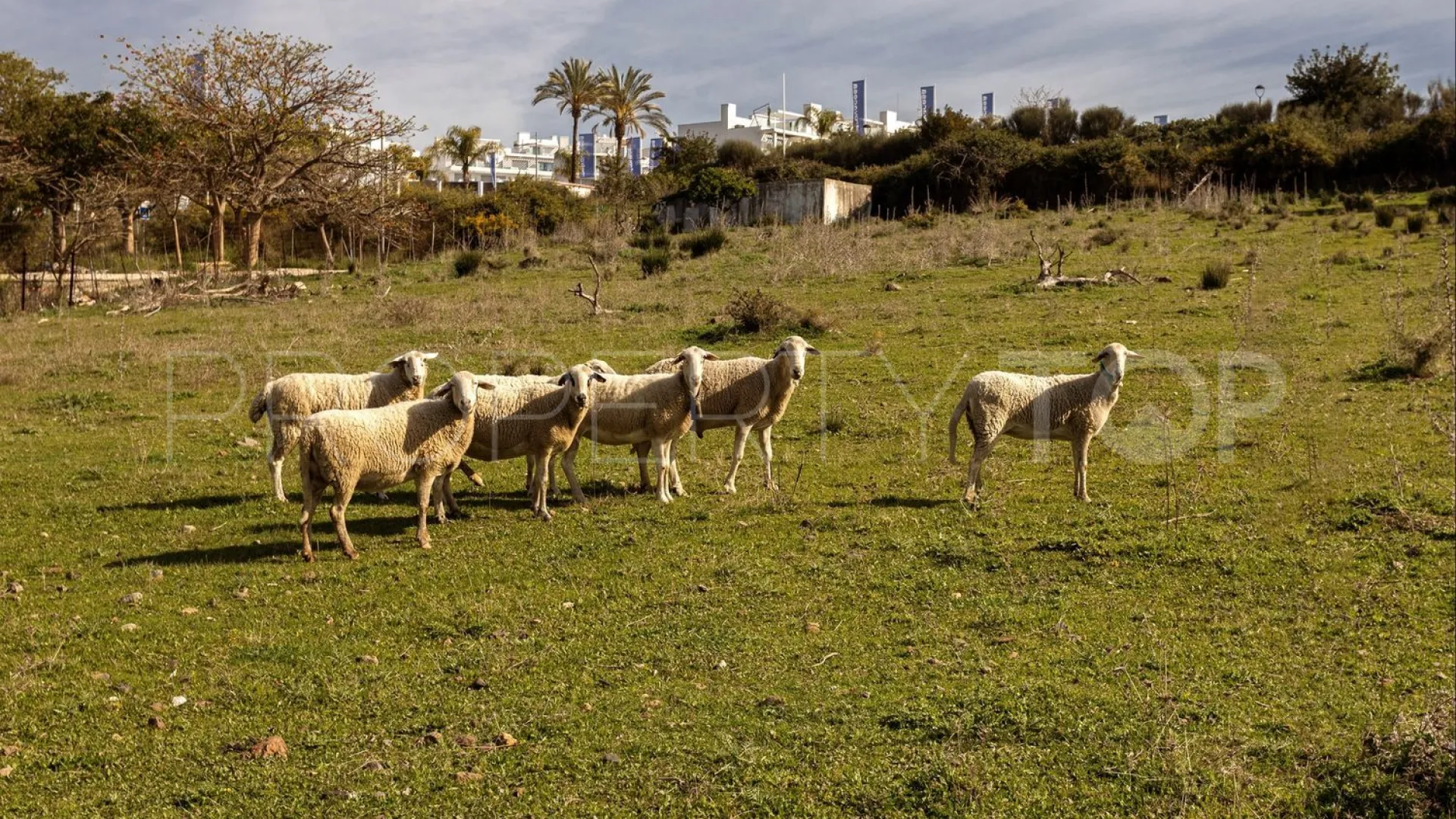 Plot for sale in La Resina Golf