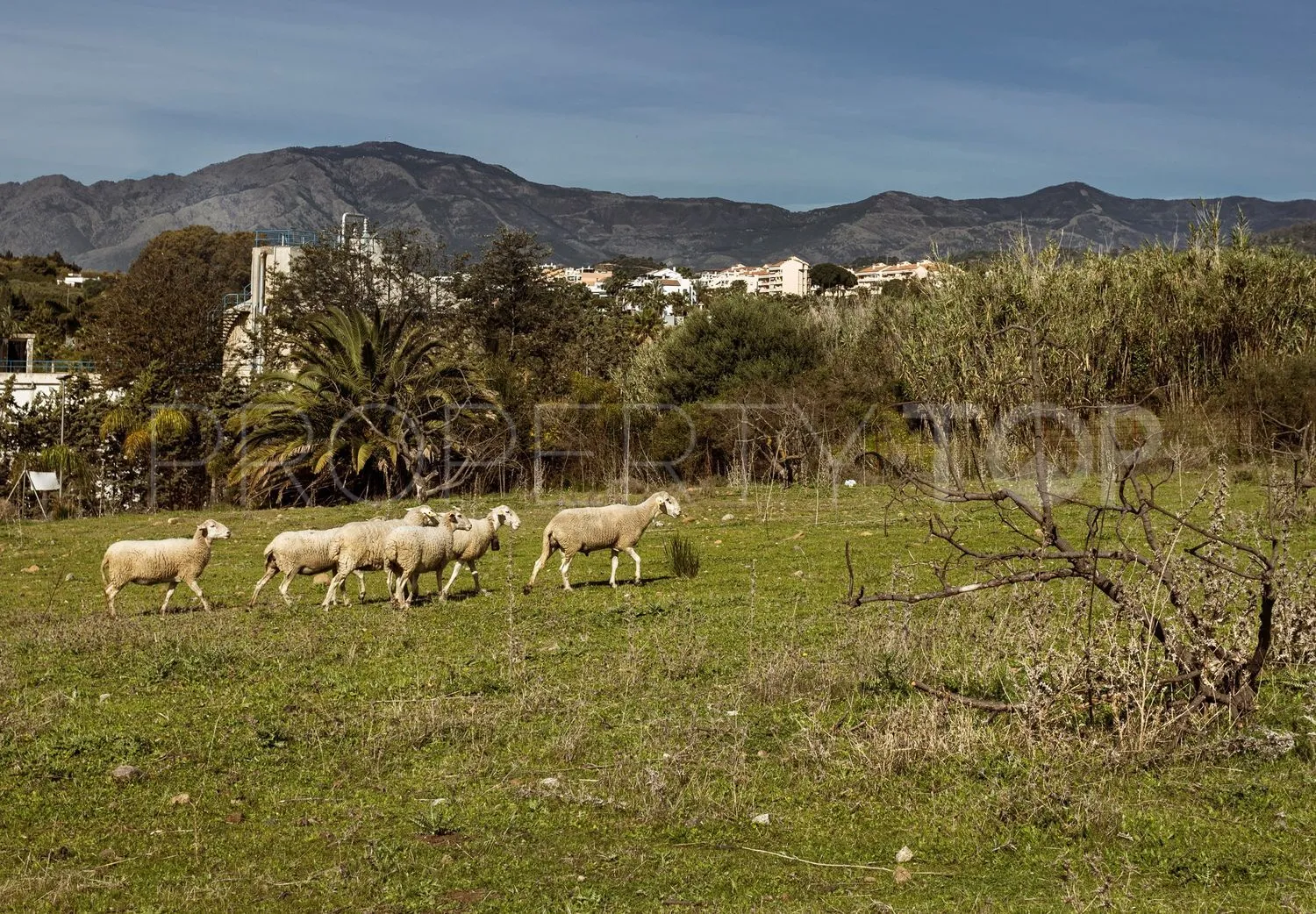 Plot for sale in La Resina Golf
