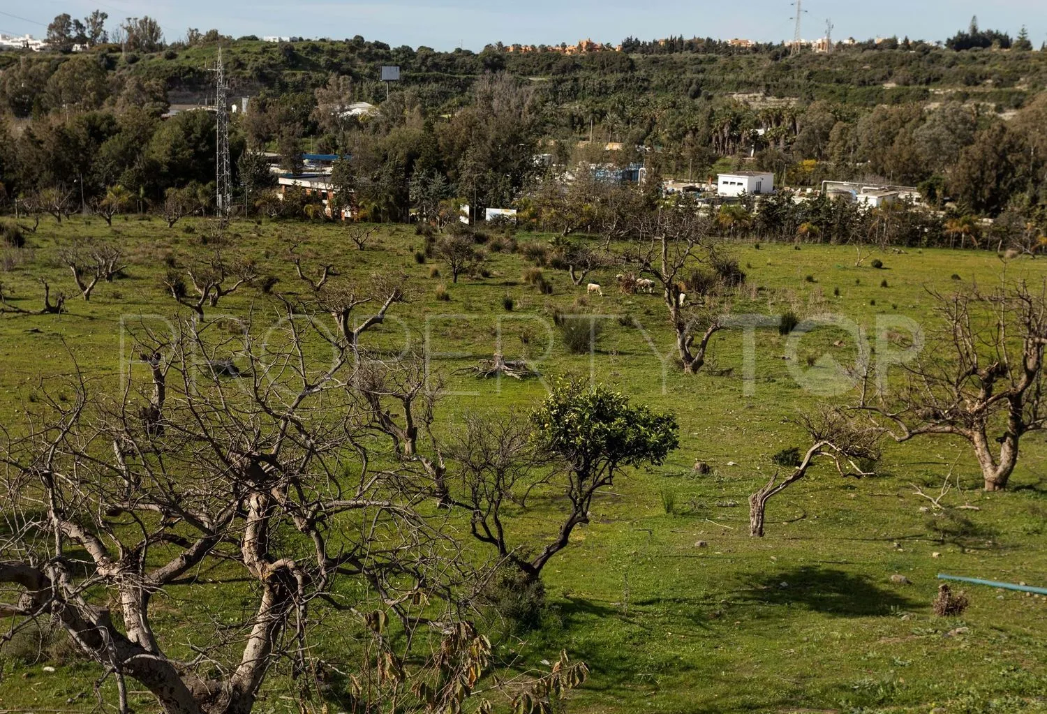 Plot for sale in La Resina Golf