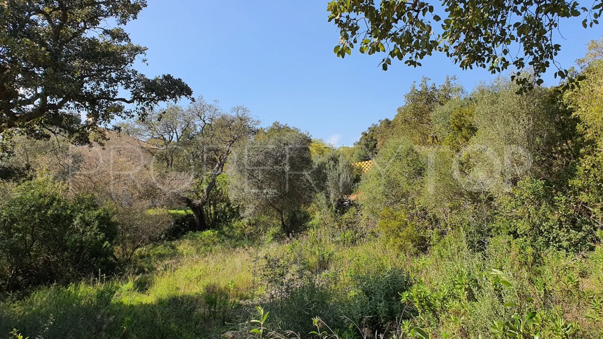 Parcela a la venta en Sotogrande Alto