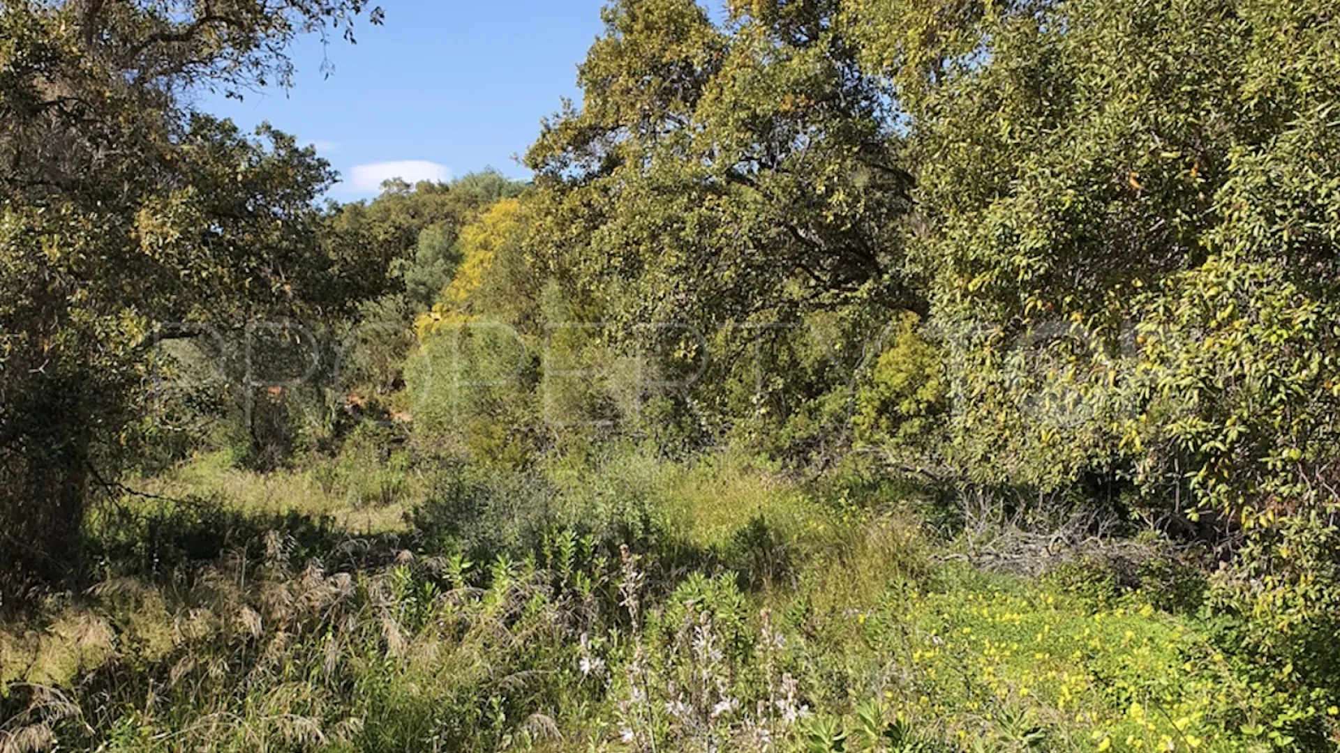Parcela a la venta en Sotogrande Alto