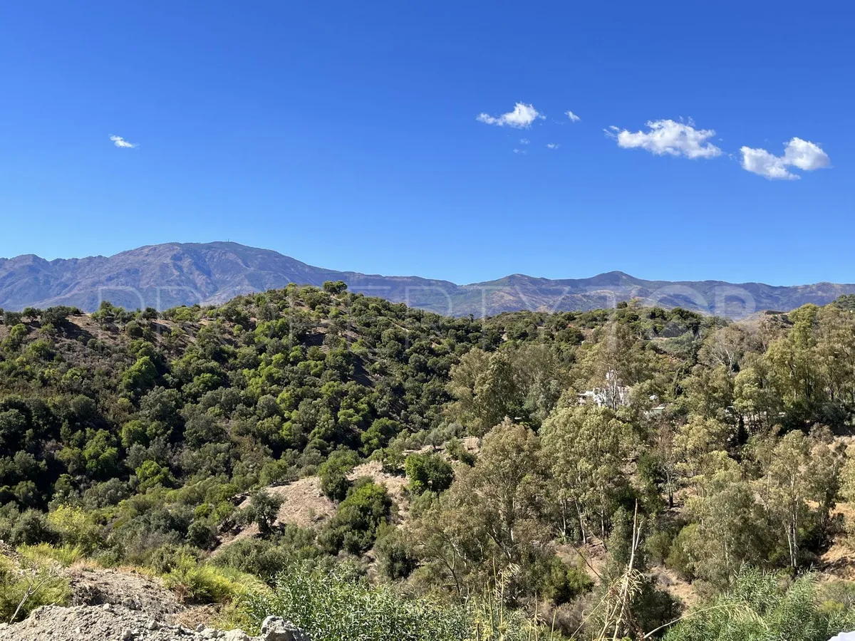 Plot for sale in Selwo