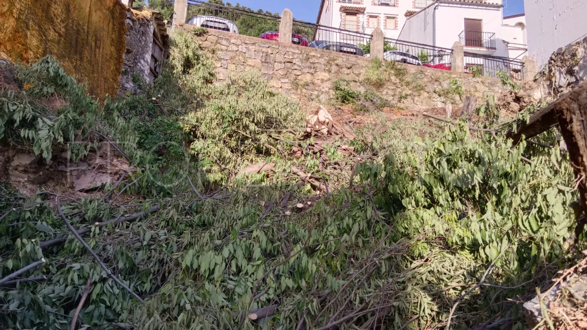 Benarraba plot for sale