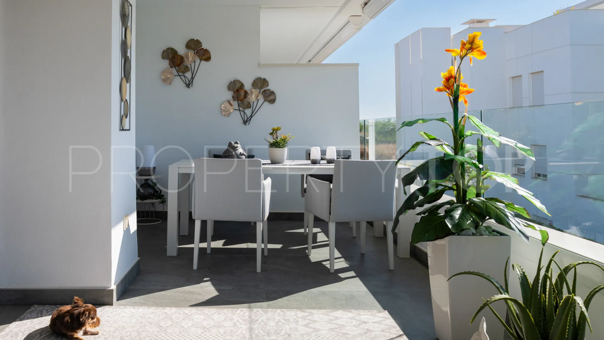 Buy apartment in Benahavis