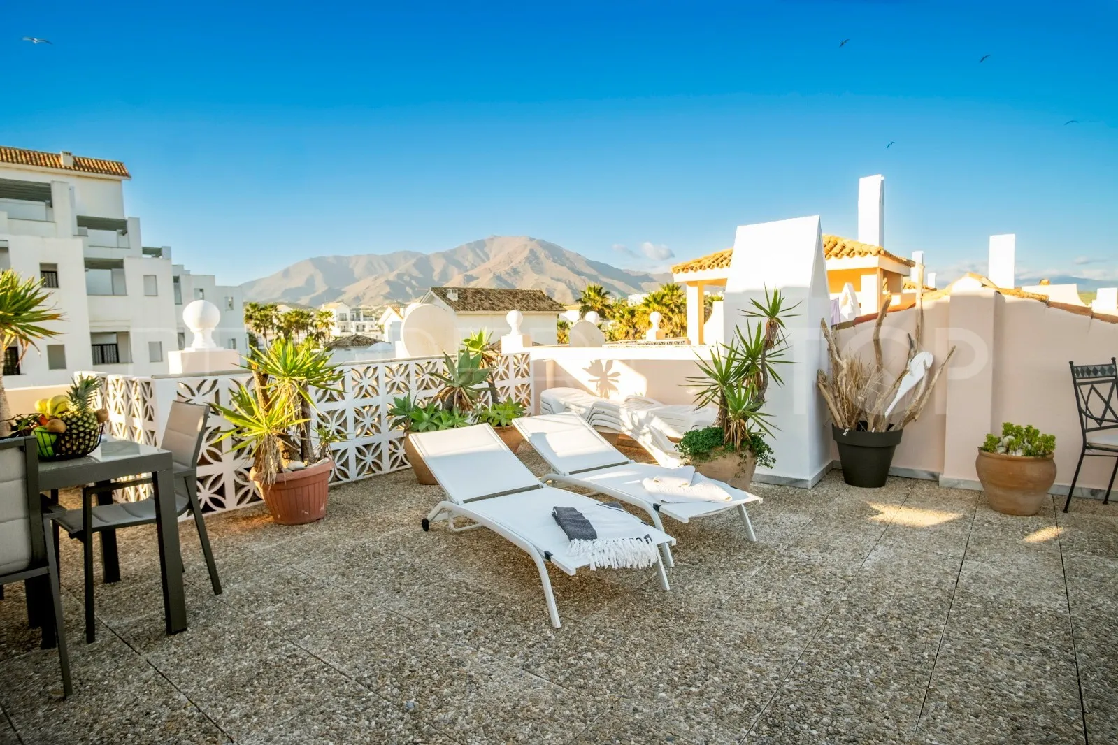 Buy penthouse in Playa del Moral