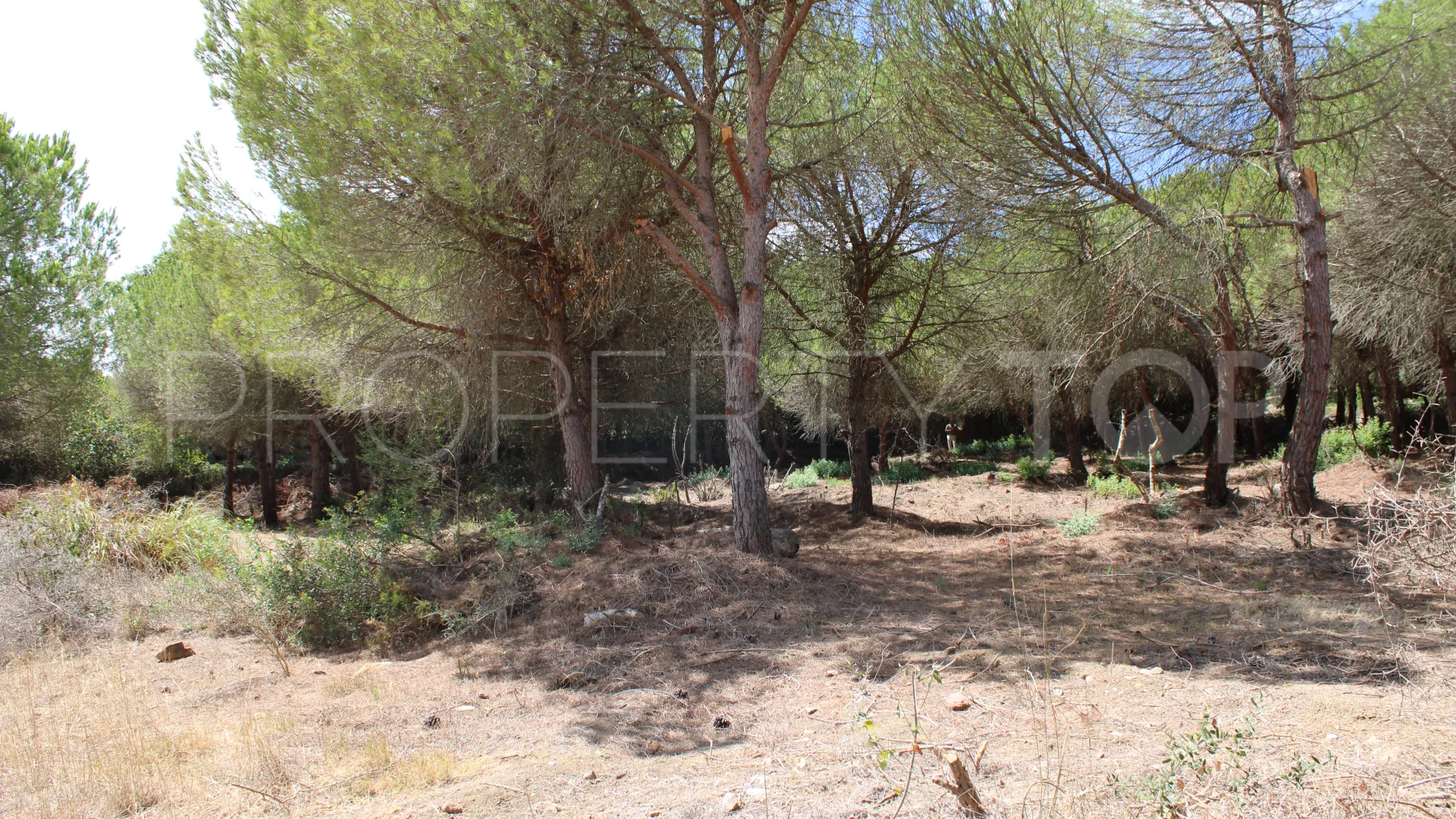 Parcela a la venta en Zona G