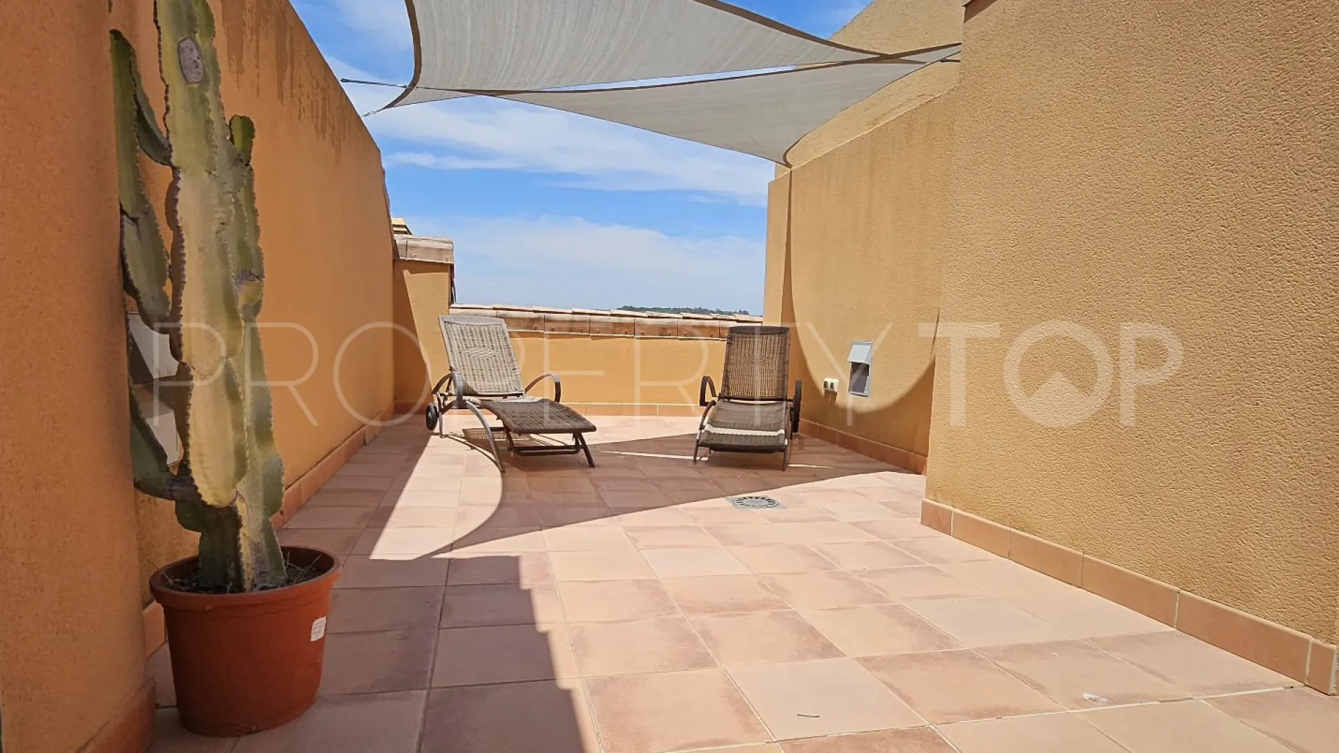 2 bedrooms Ribera del Marlin penthouse for sale