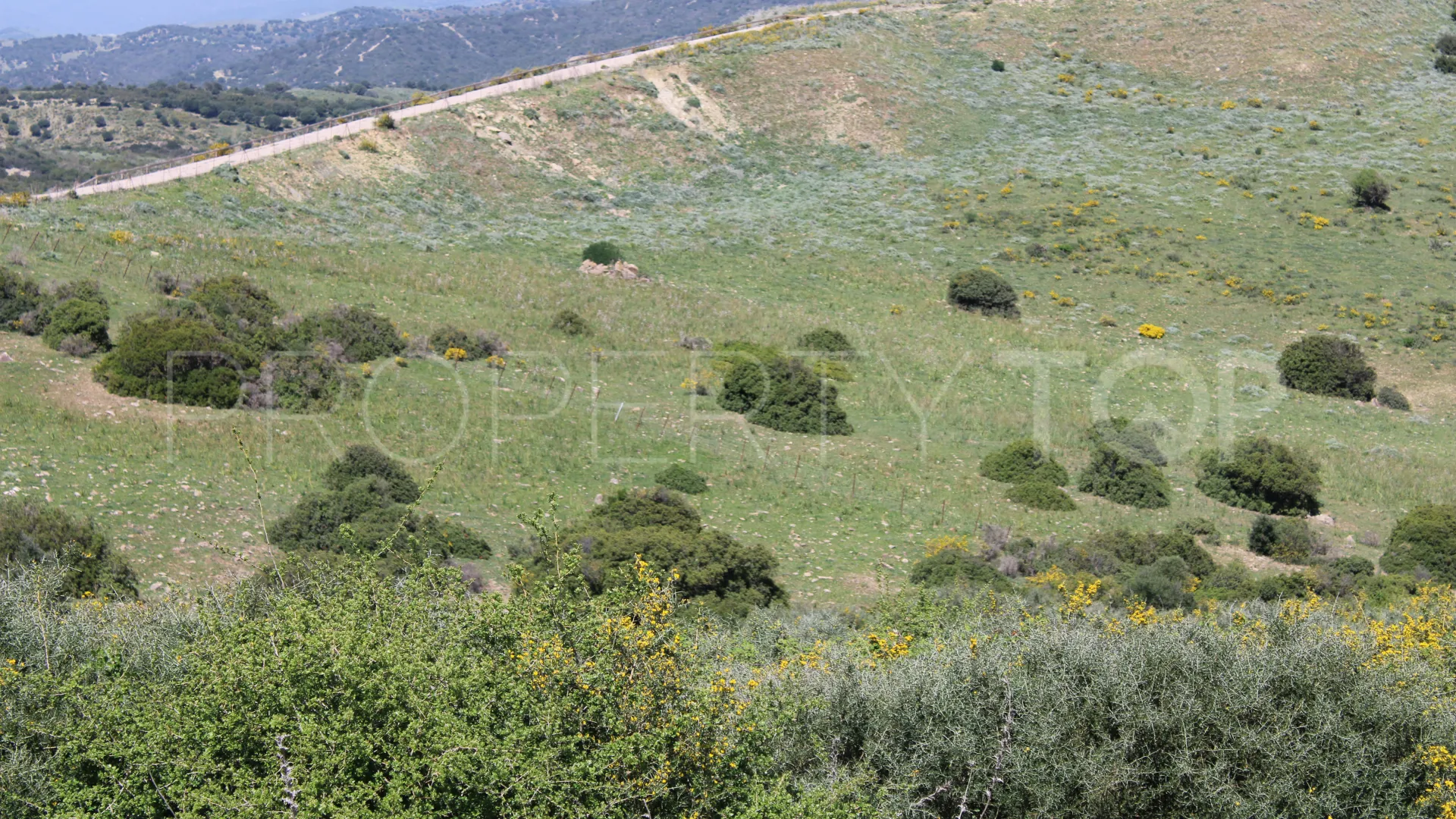 Plot for sale in San Martin del Tesorillo