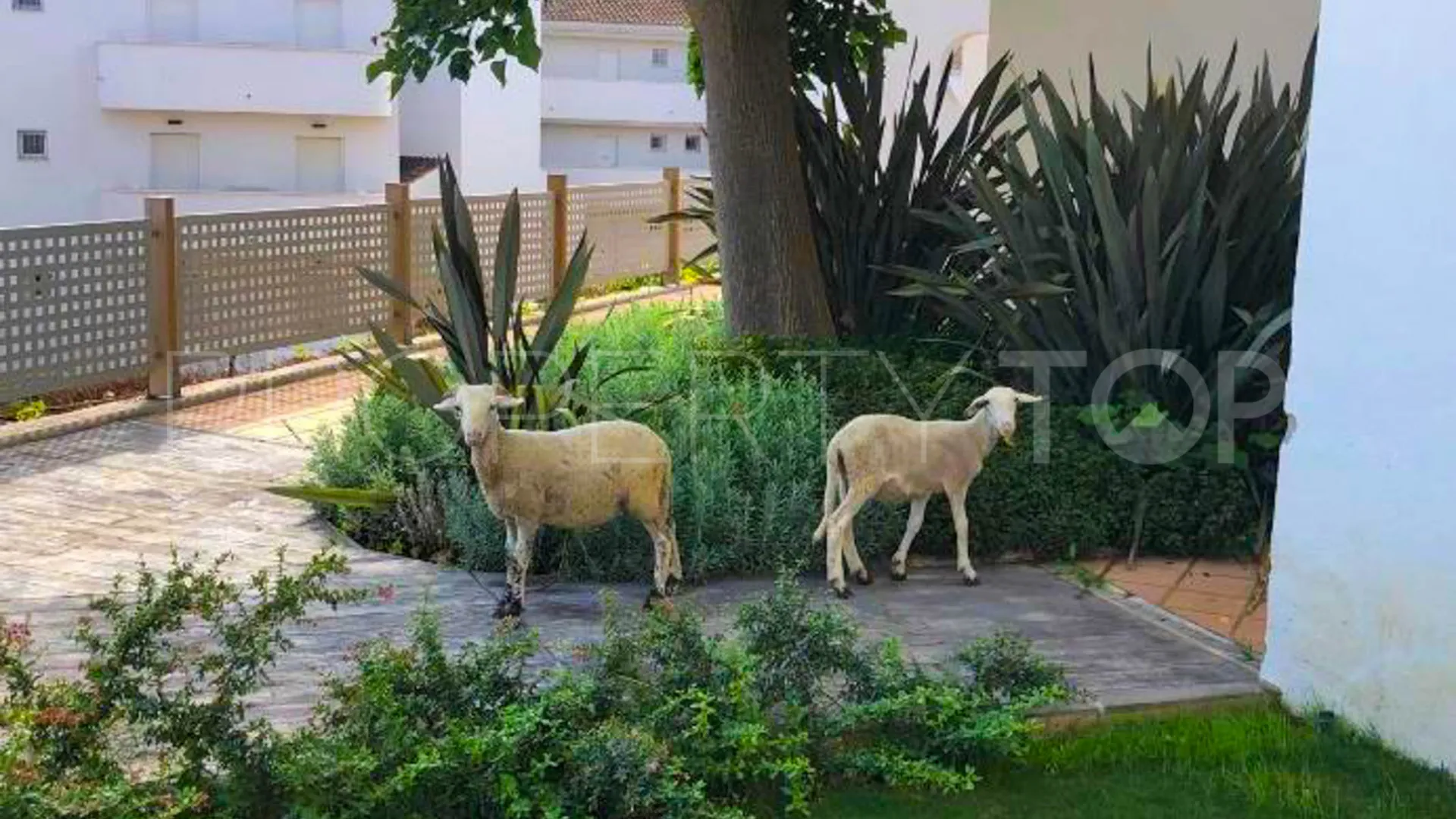 La Duquesa, apartamento planta baja con 3 dormitorios en venta