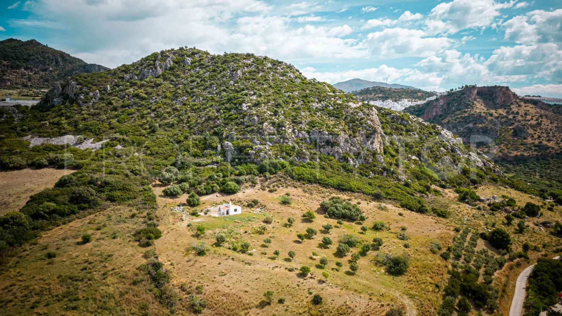 For sale finca in Casares