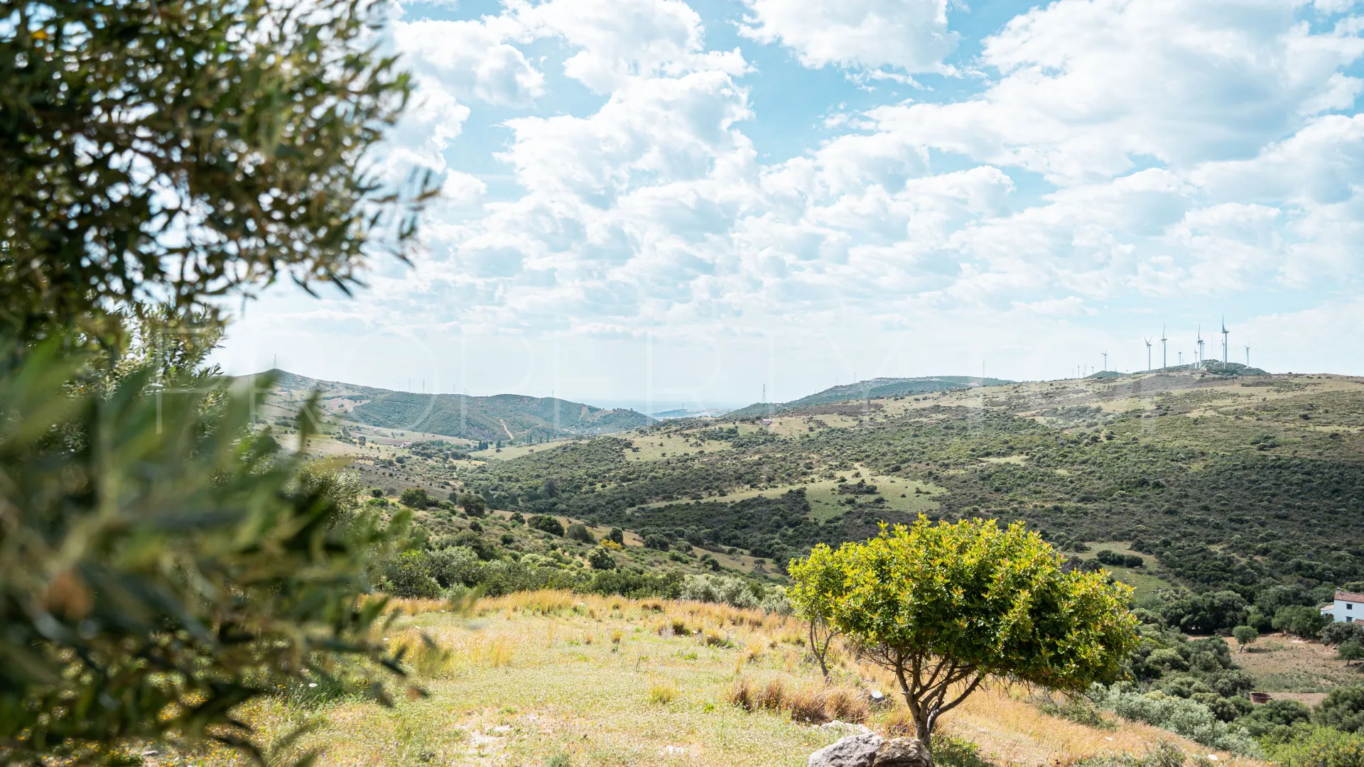 For sale finca in Casares