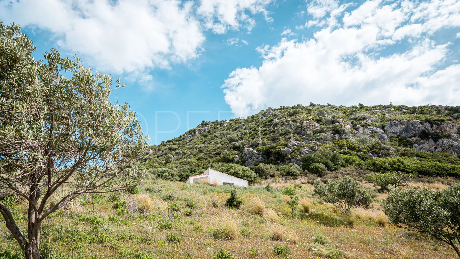 For sale finca in Casares