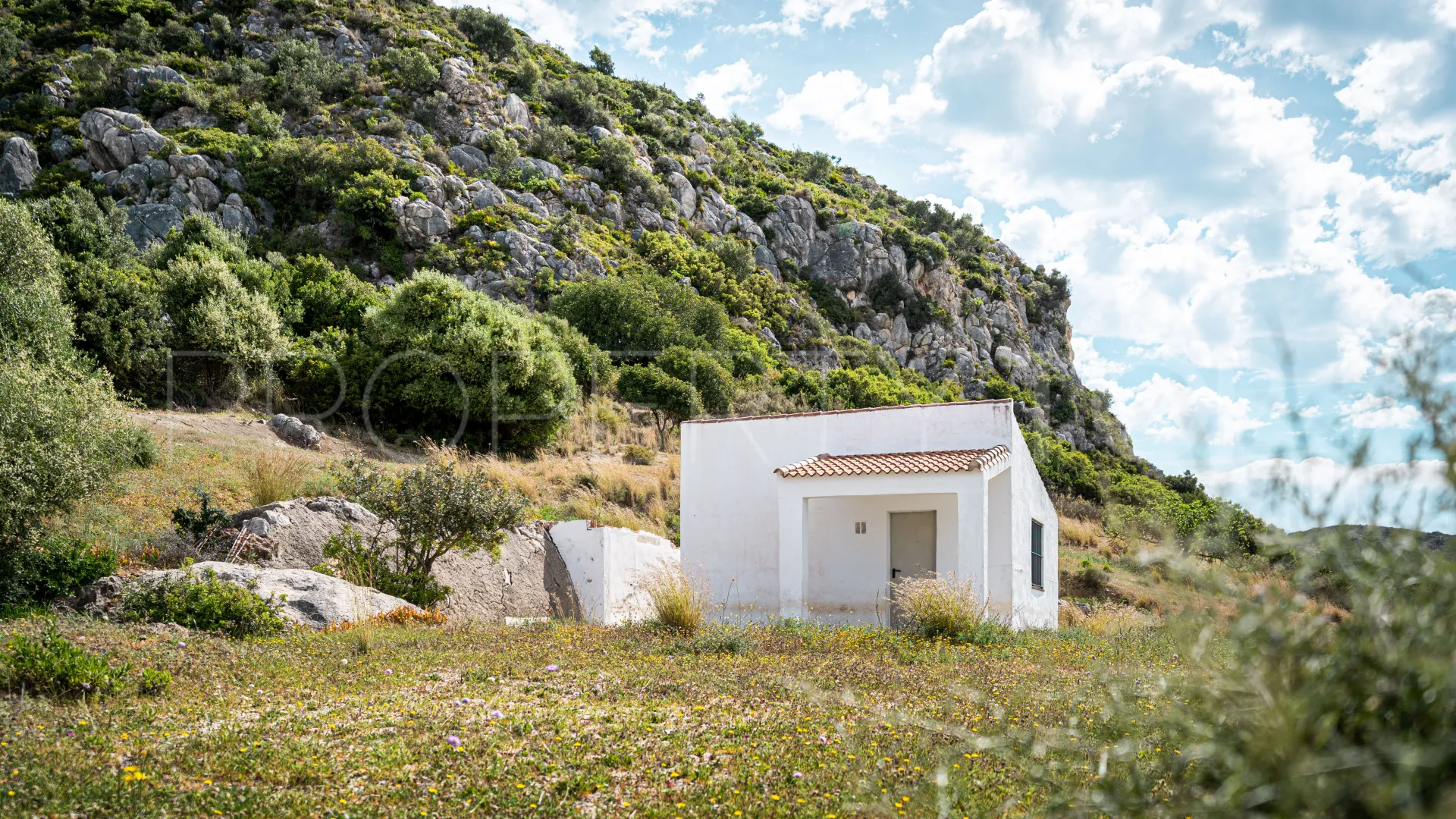 For sale finca in Casares