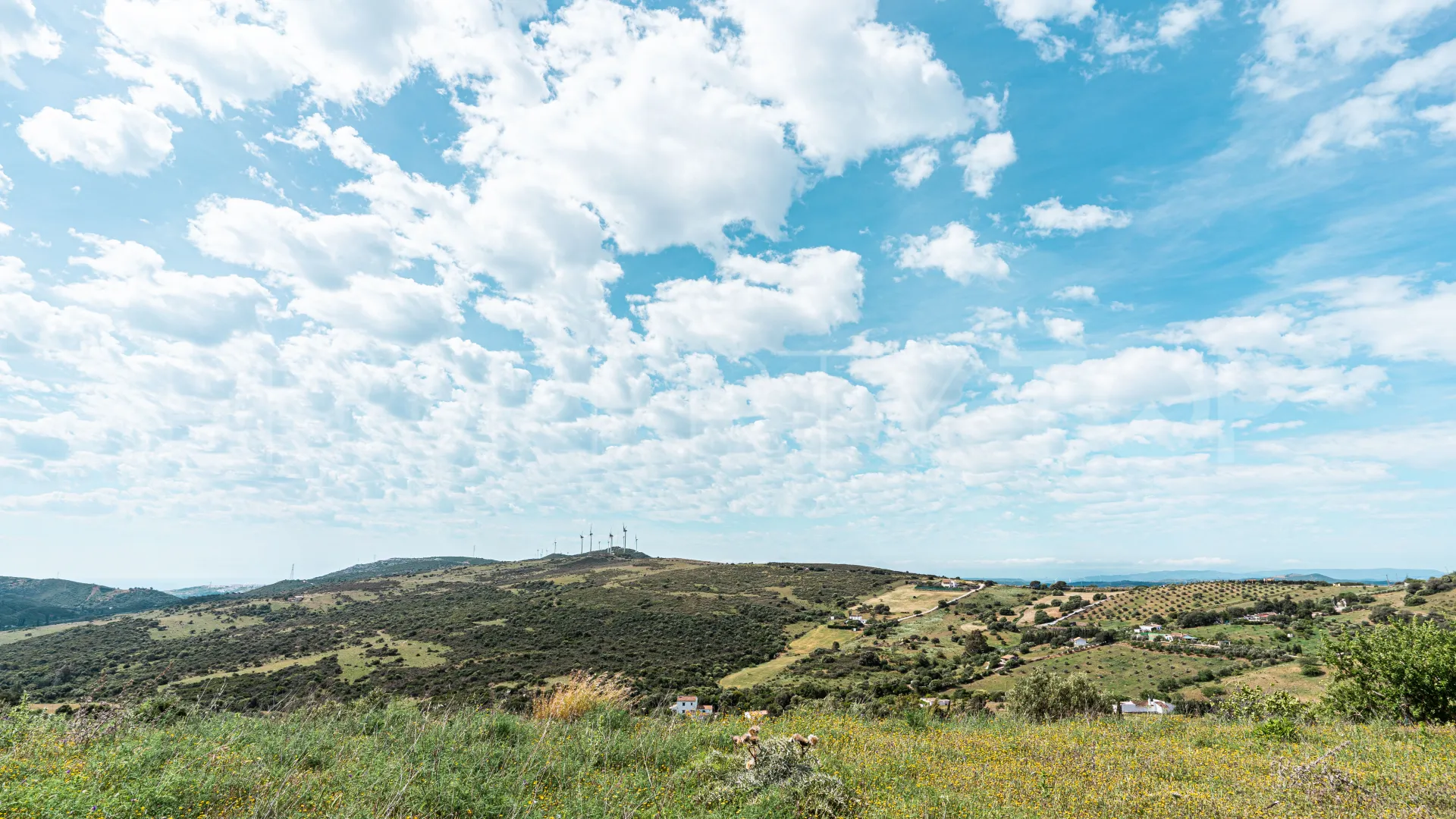 For sale finca in Casares