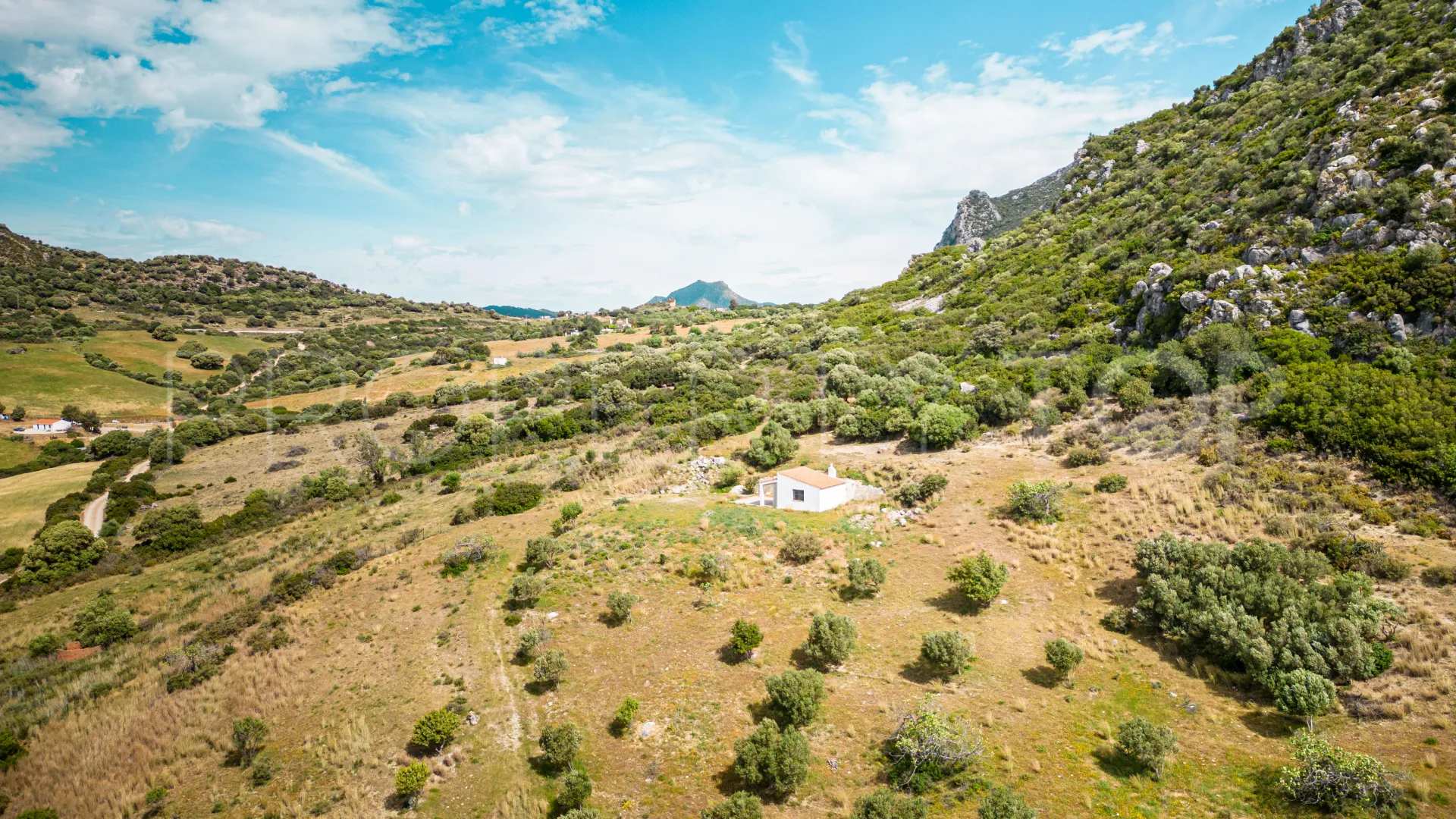 For sale finca in Casares