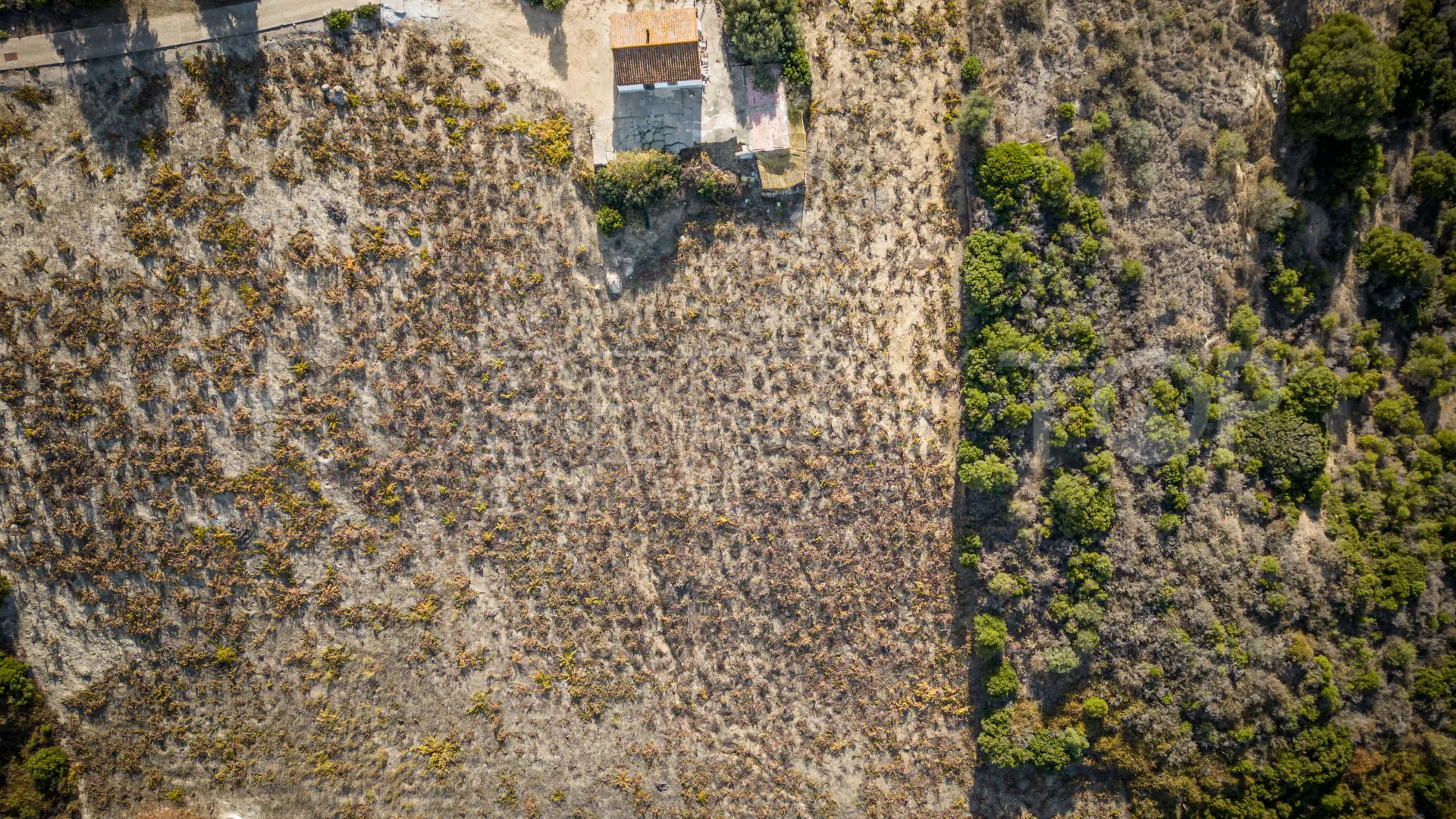 For sale cortijo in Manilva