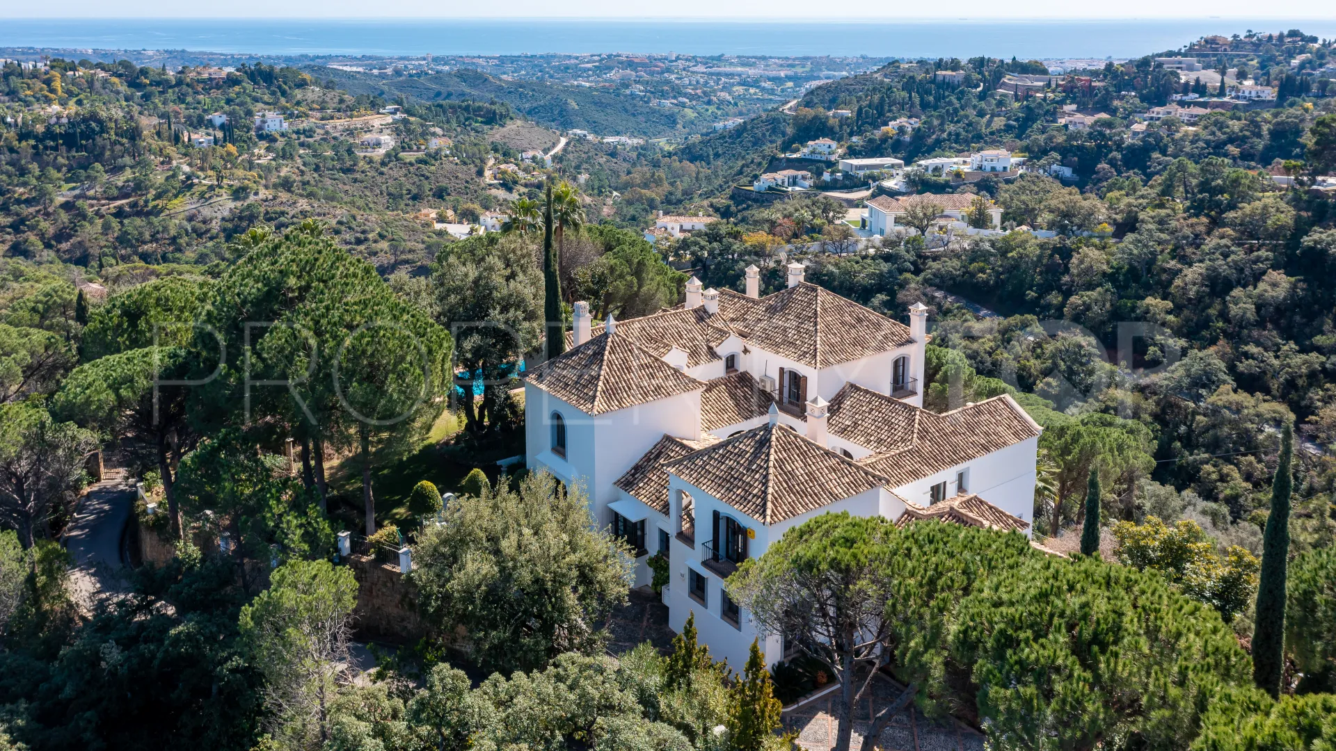 For sale Benahavis villa