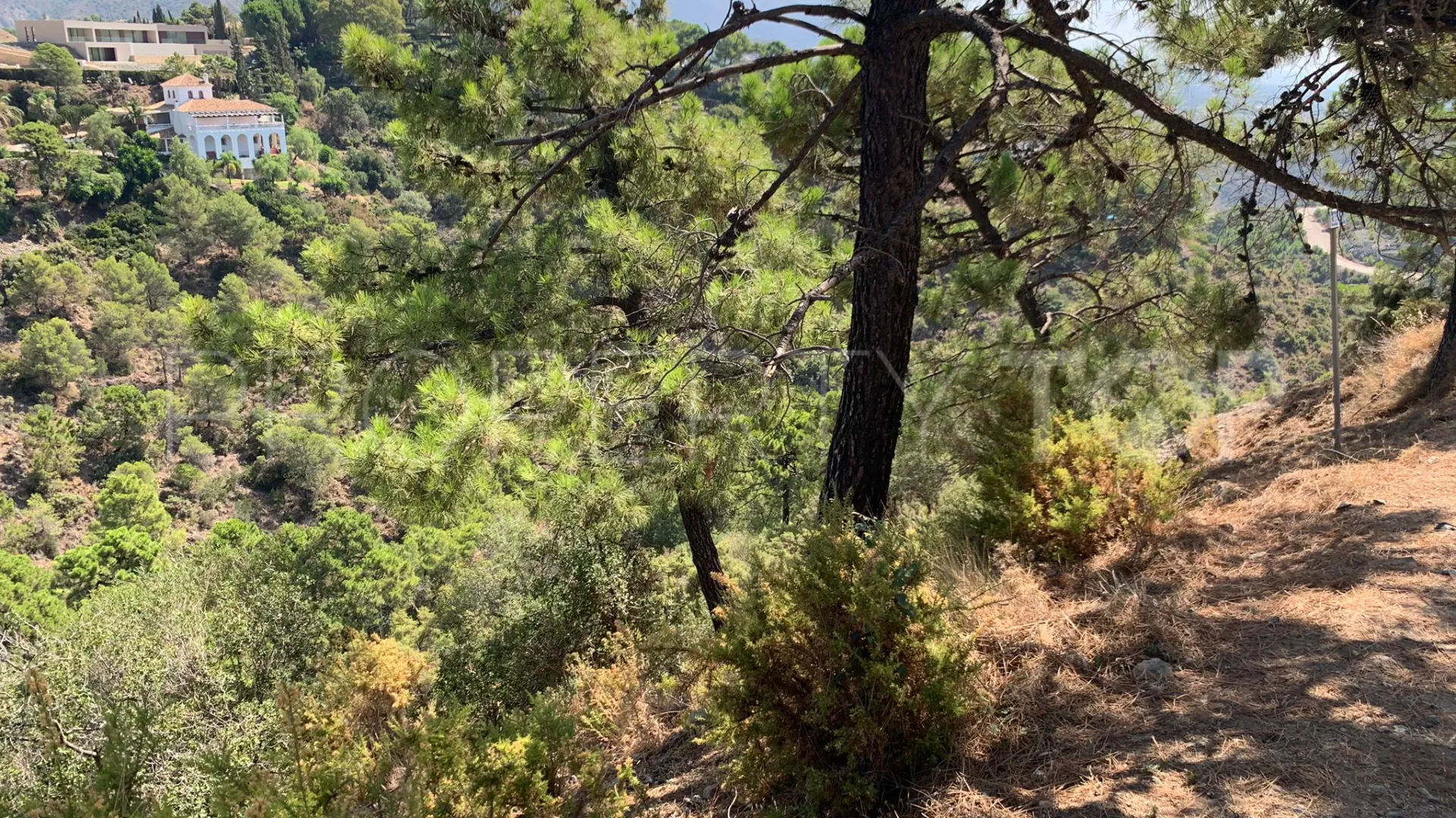 For sale plot in El Madroñal