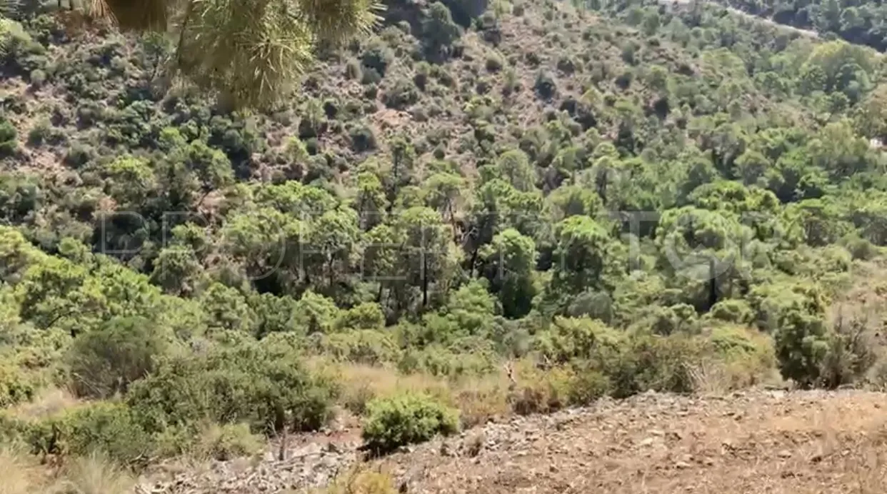 For sale plot in El Madroñal