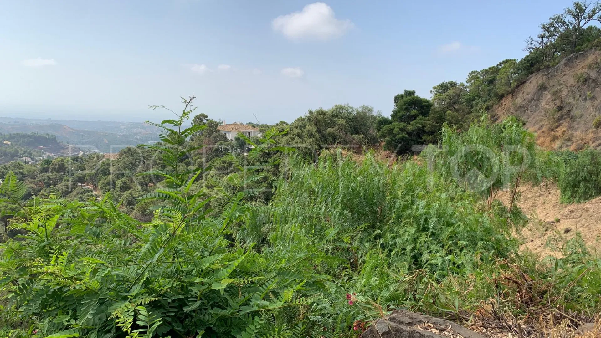 For sale Benahavis plot