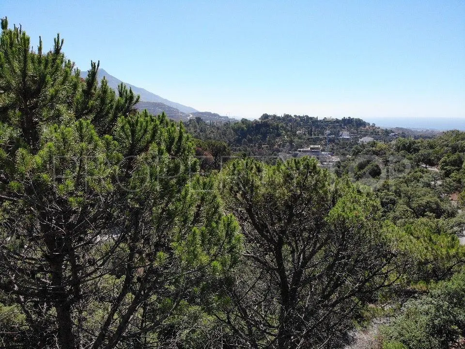 For sale Benahavis plot