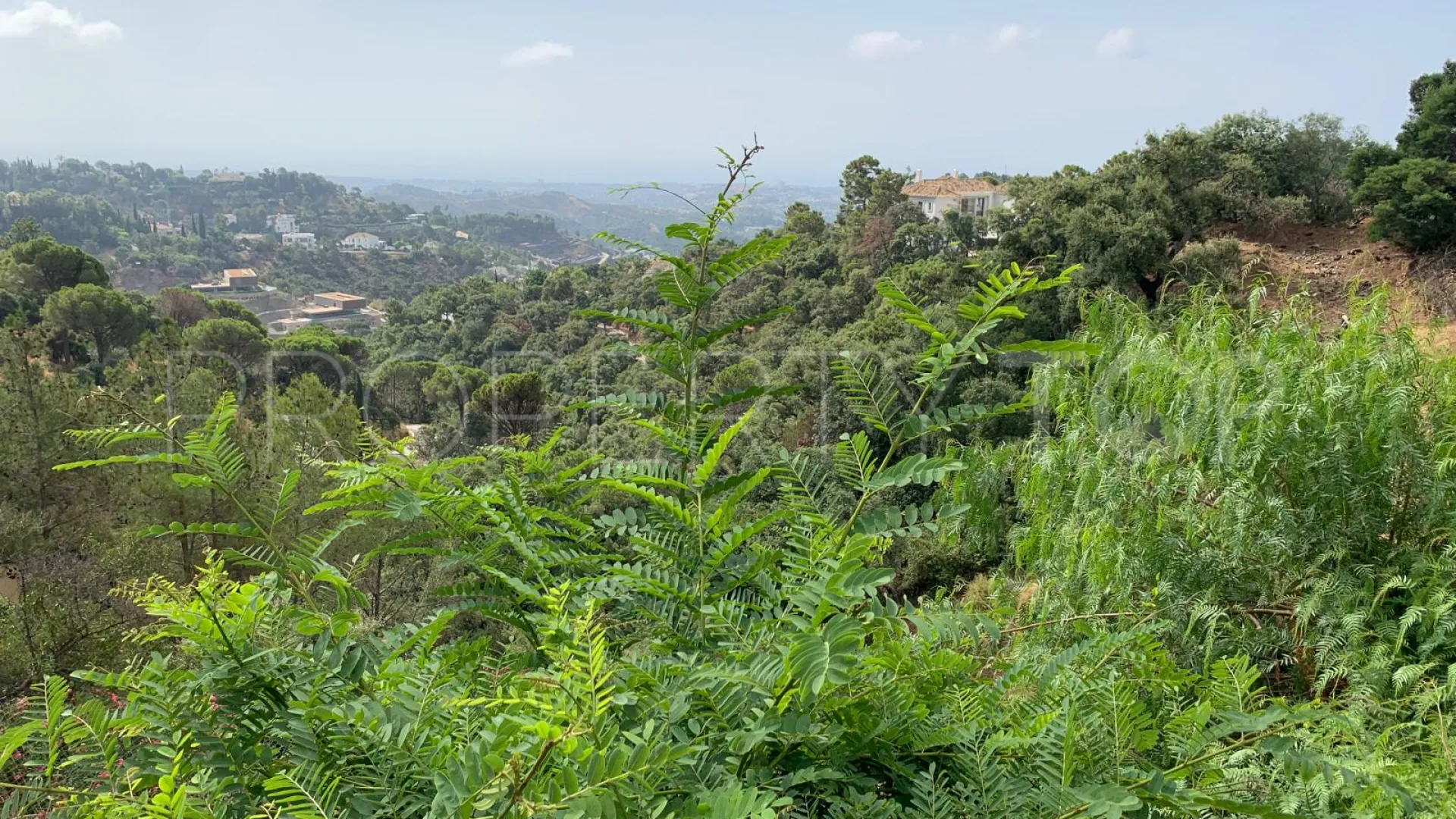 For sale Benahavis plot