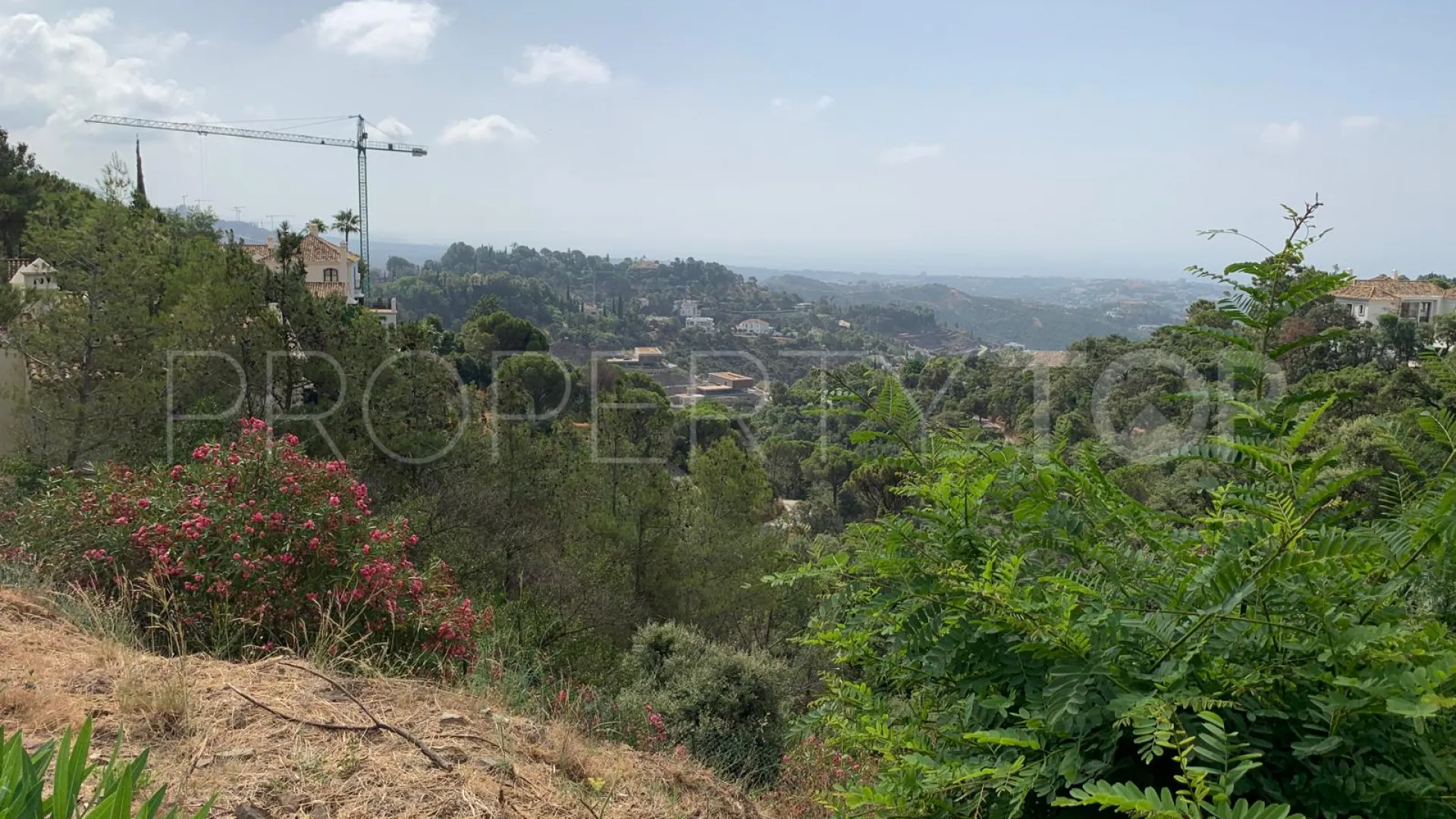 For sale Benahavis plot