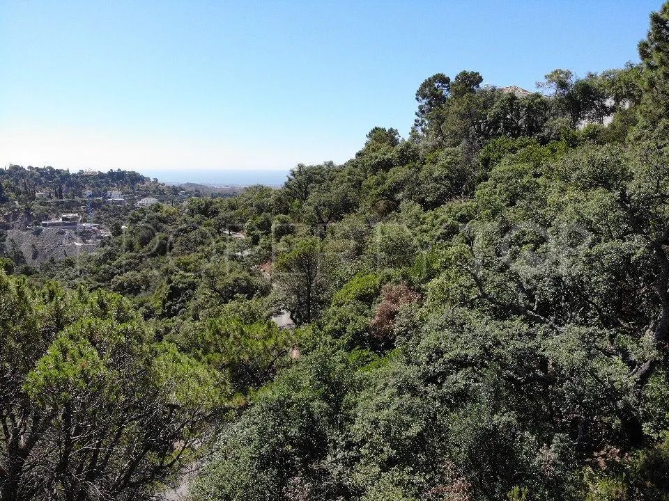 For sale Benahavis plot
