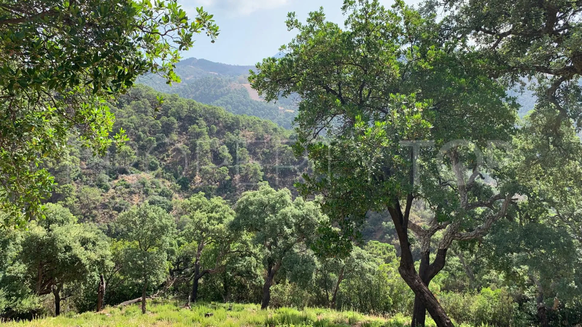 For sale El Madroñal plot