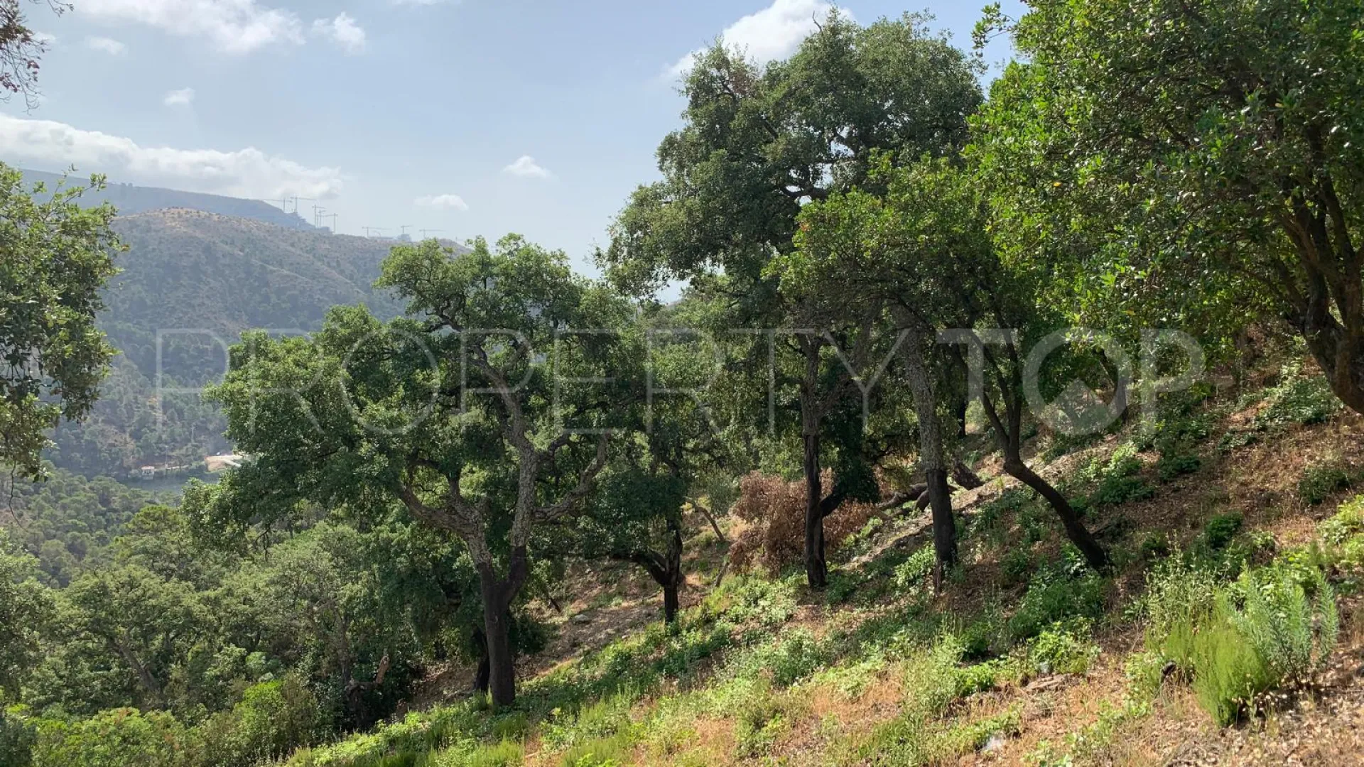 For sale El Madroñal plot